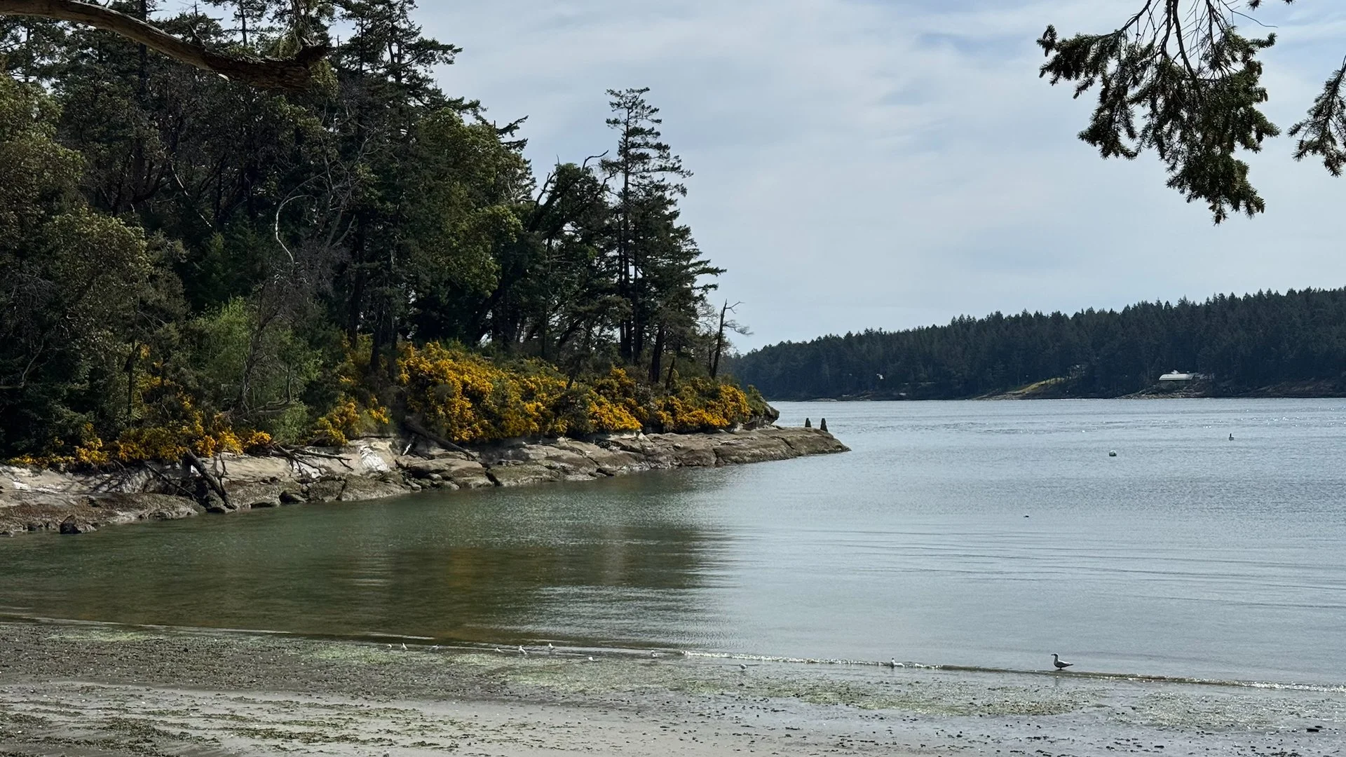  A nice view of the little bay - Bellhouse is on the left. 