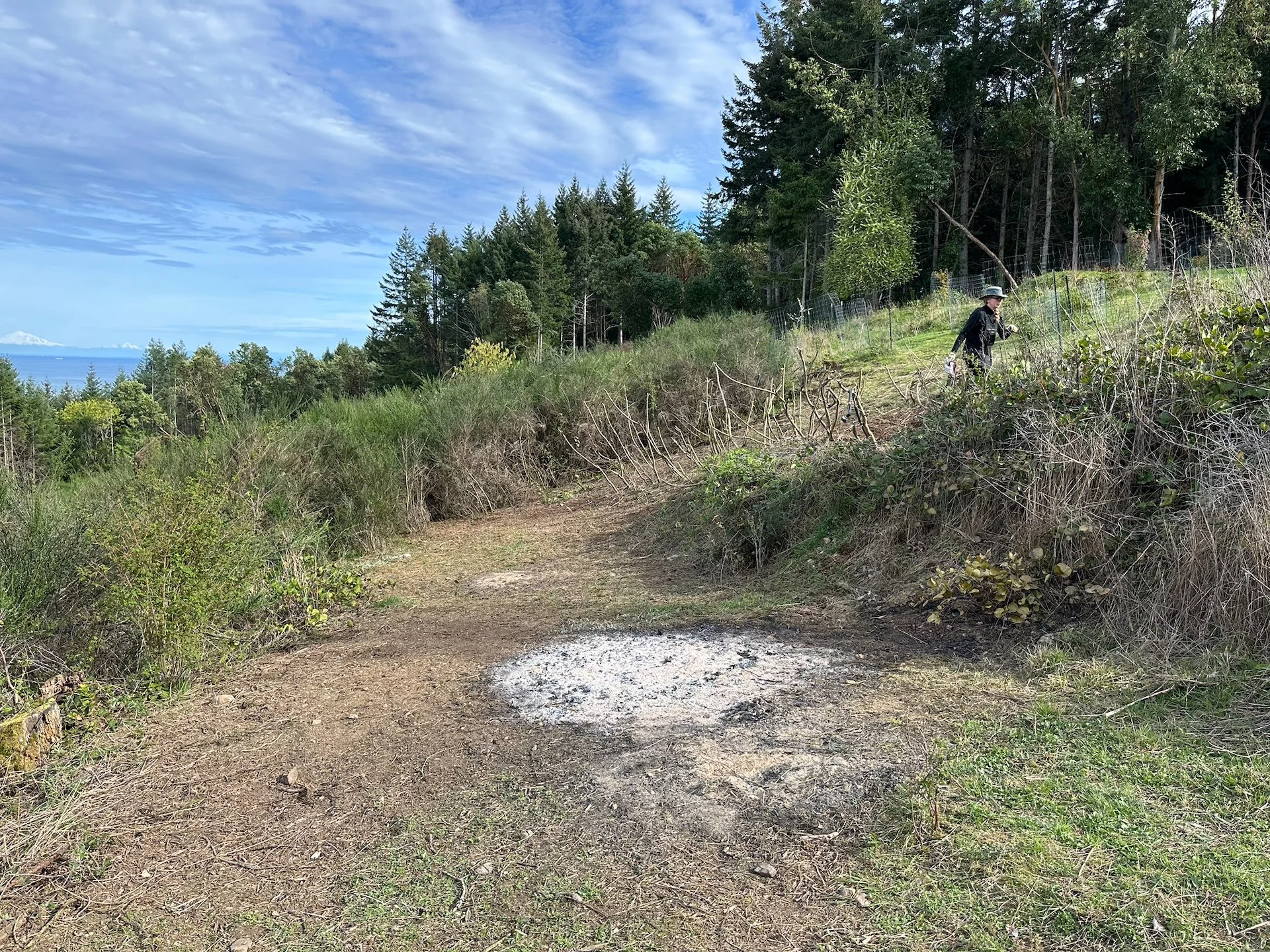 2026-04 Galiano Bird Walk - 44.jpeg