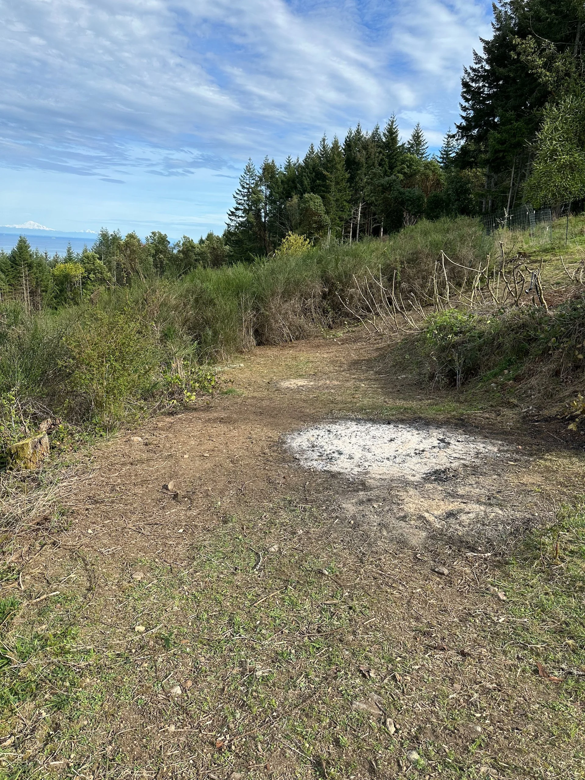  The next, all that broome was gone! 