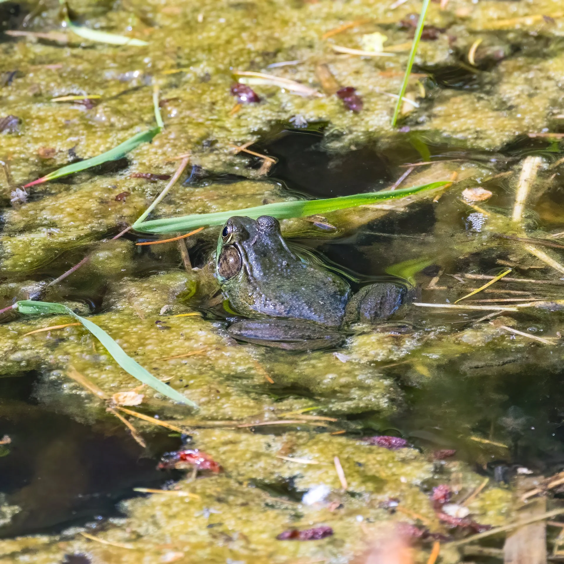  OK, so not all bird photos… 