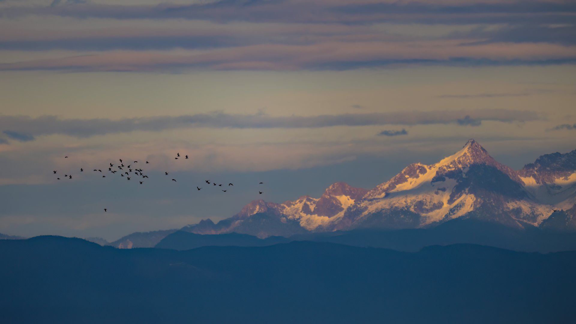  Mount Baker and the surrounding mountains were looking lovely in the evening light. 