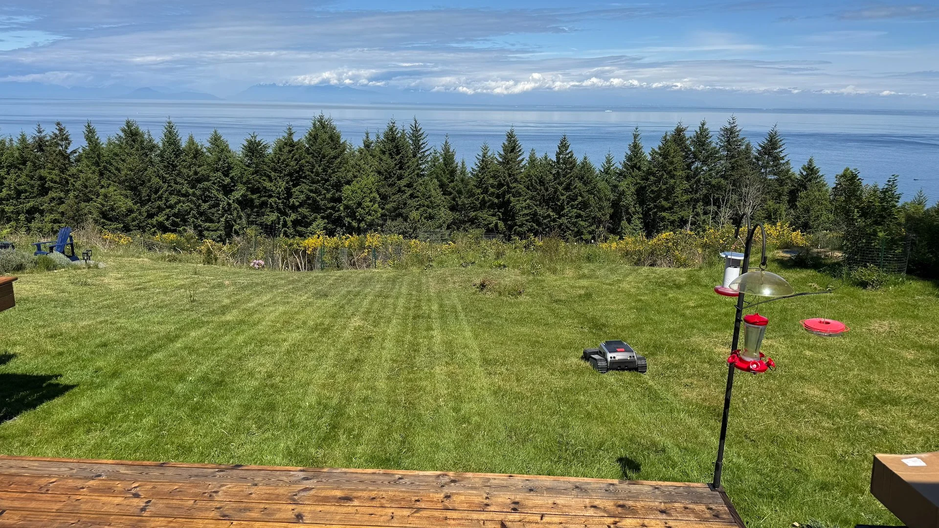  And here it is on a longer section of the lawn. Just busily doing it’s thing. 
