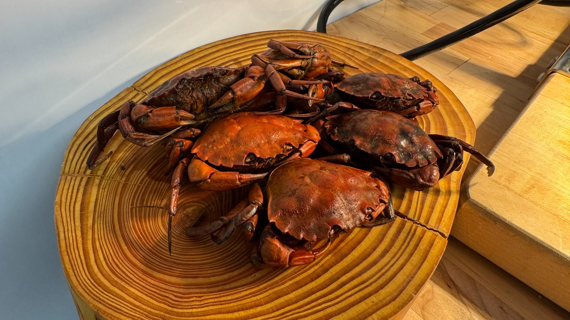  Some of the crabs that went into our meals. 
