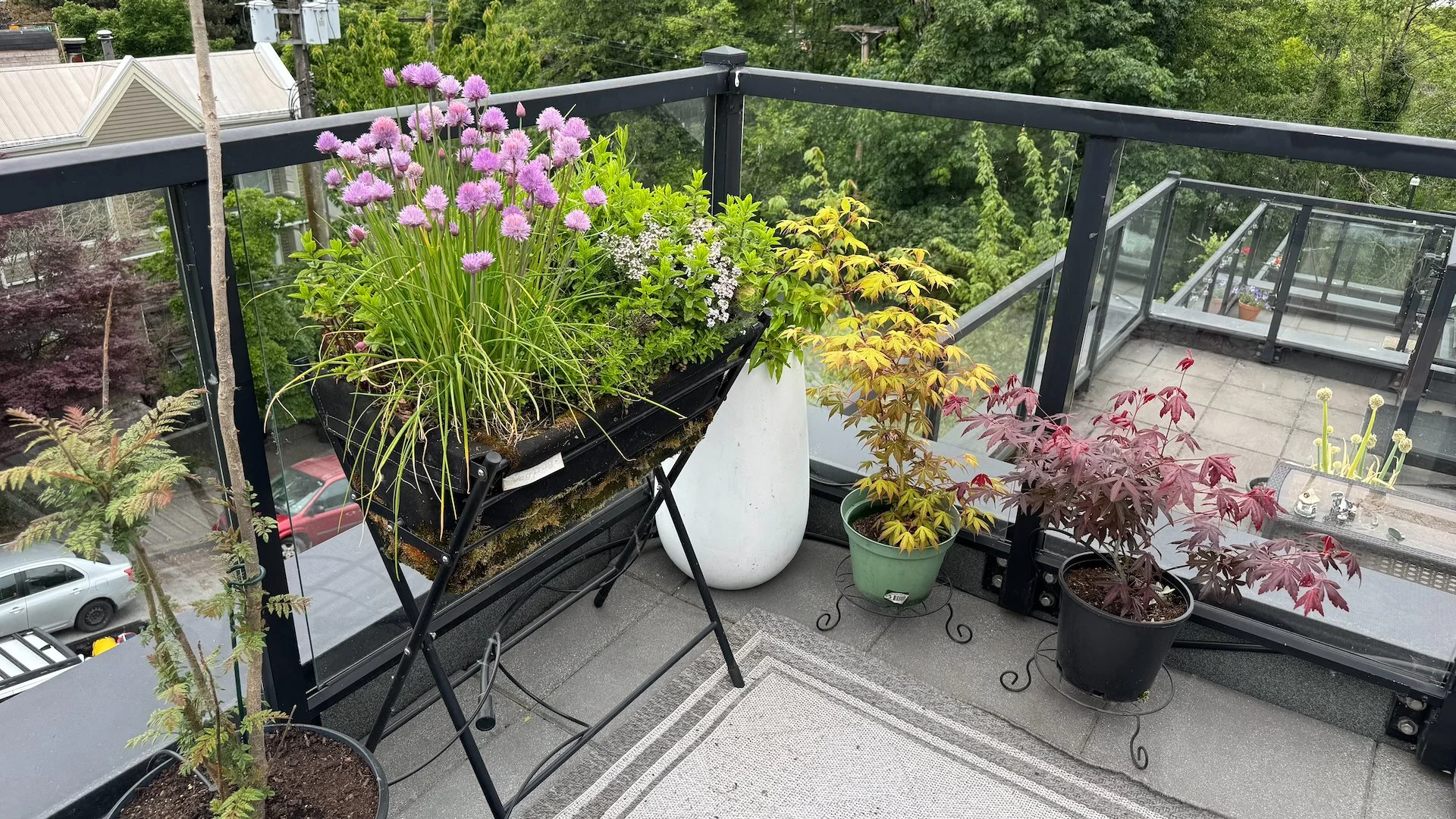  The herb garden is overflowing. 