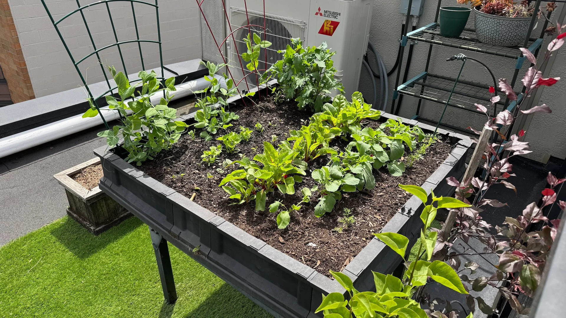  The garden box is also starting to really come along.  