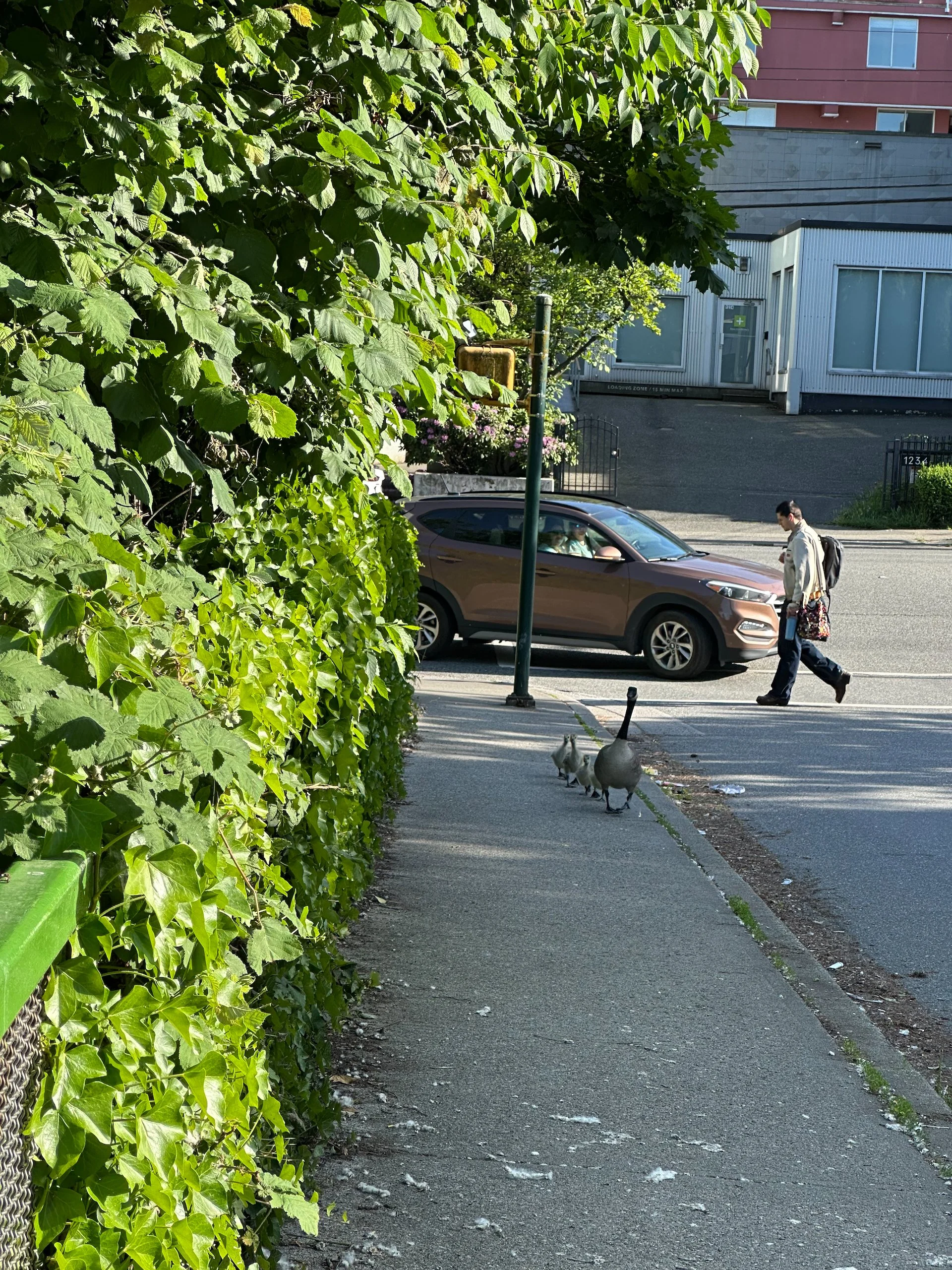  They started to head our way.  