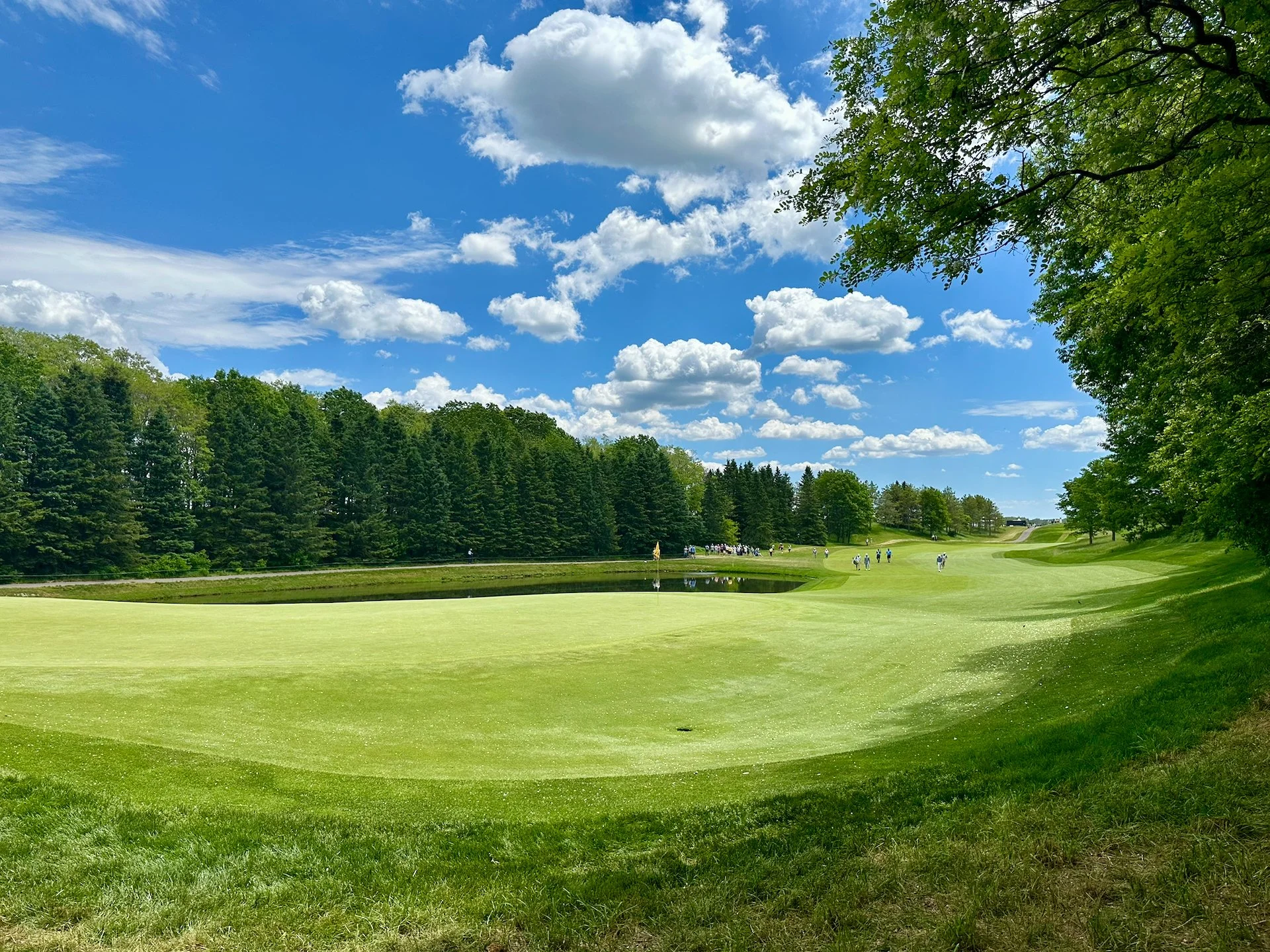  Hole #10 green 