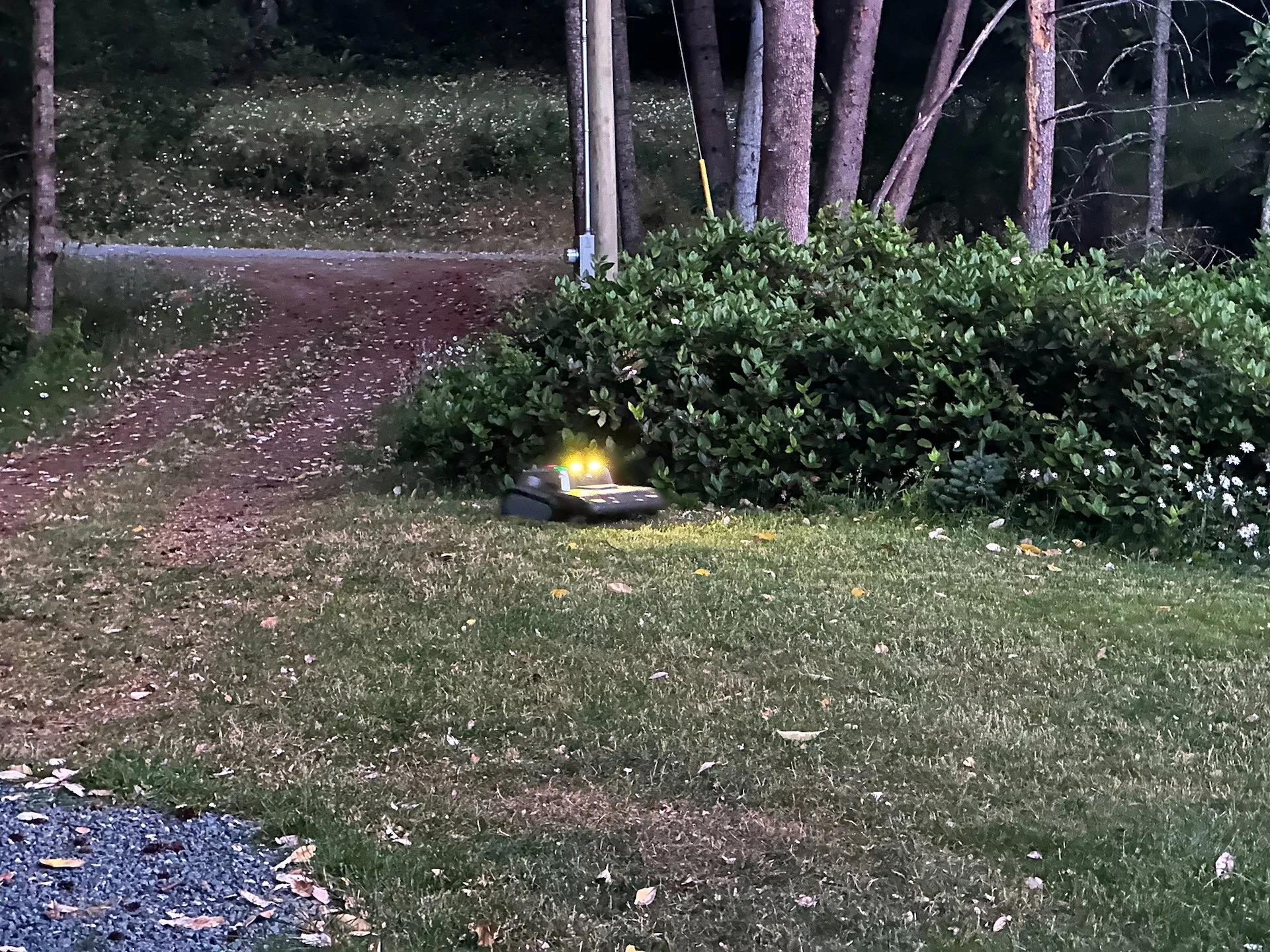  Even in the dark the little guy can get the job done. 