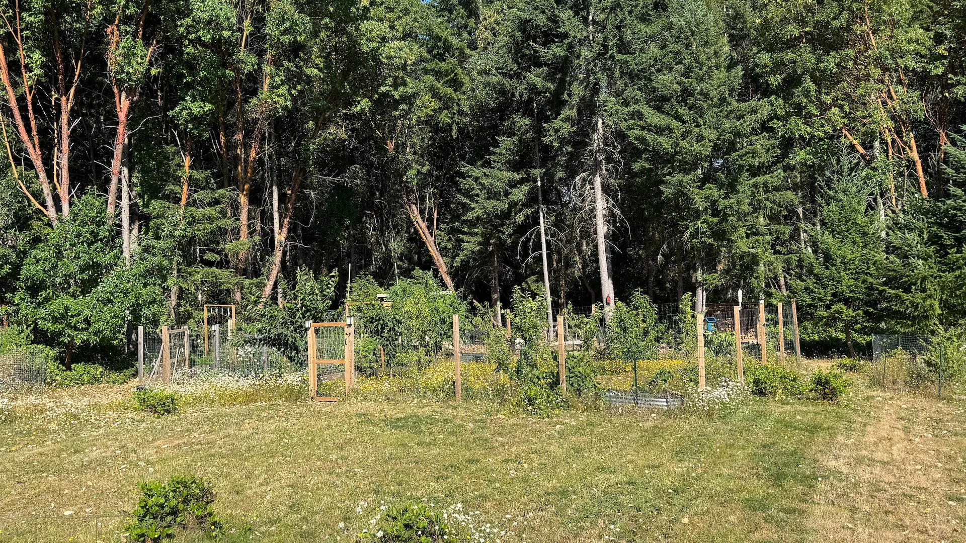  It’s pretty great to send it out to cut and I can do other things, like water the gardens. 