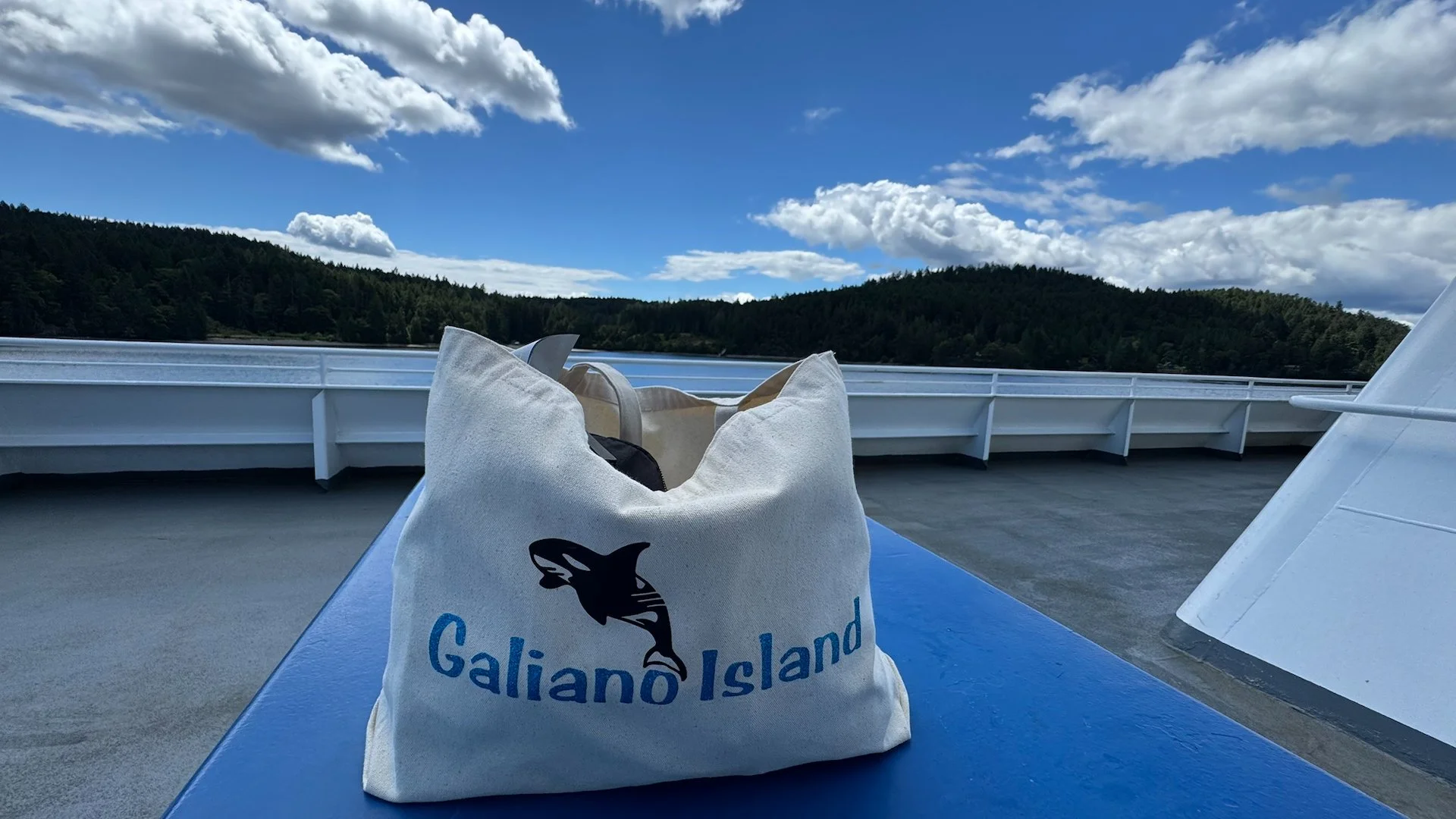  Heading out from Galiano en route to Sydney.  
