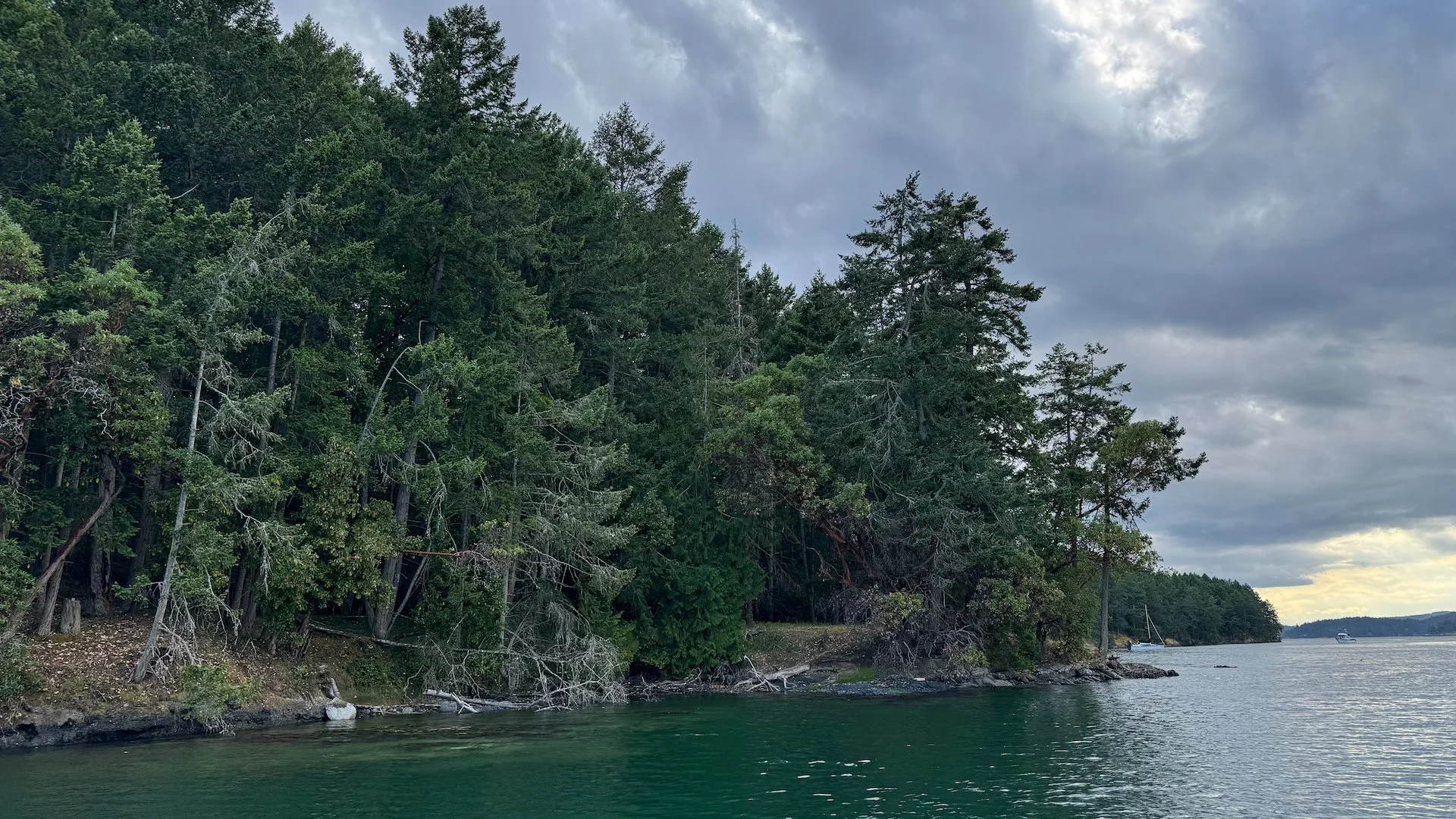  The view from the boat. 