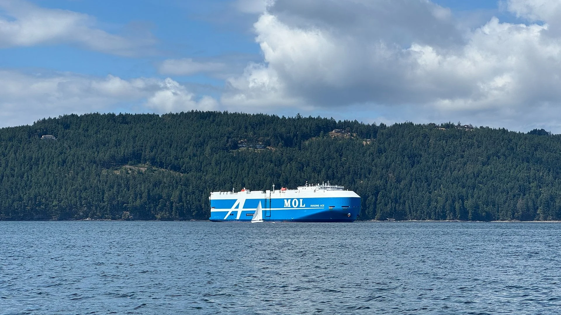  This huge car transport ship had been sitting at anchor when we arrived the night before. We later saw it in Vancouver harbour a few days later, so it must have been waiting to unload.  
