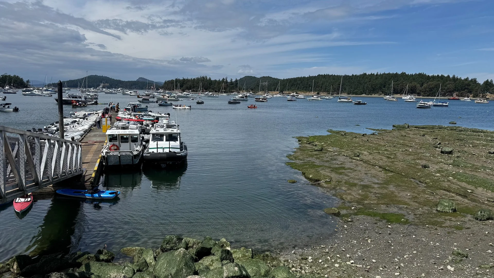  Looking out at the harbour - you could see how low the tide was.  