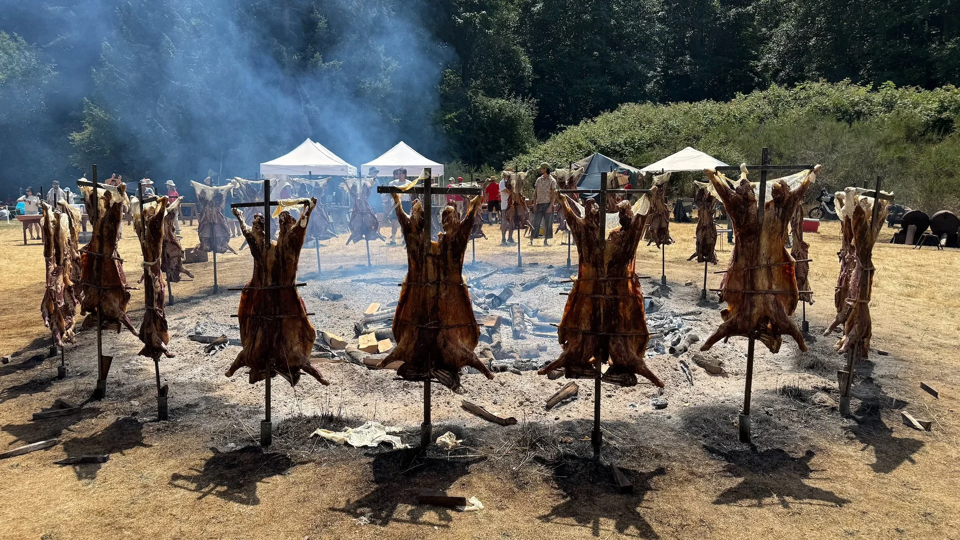  The lovely lambs being roasted over the intense fire. The festivities were originally Argentinian and this is apparently how they do it.   