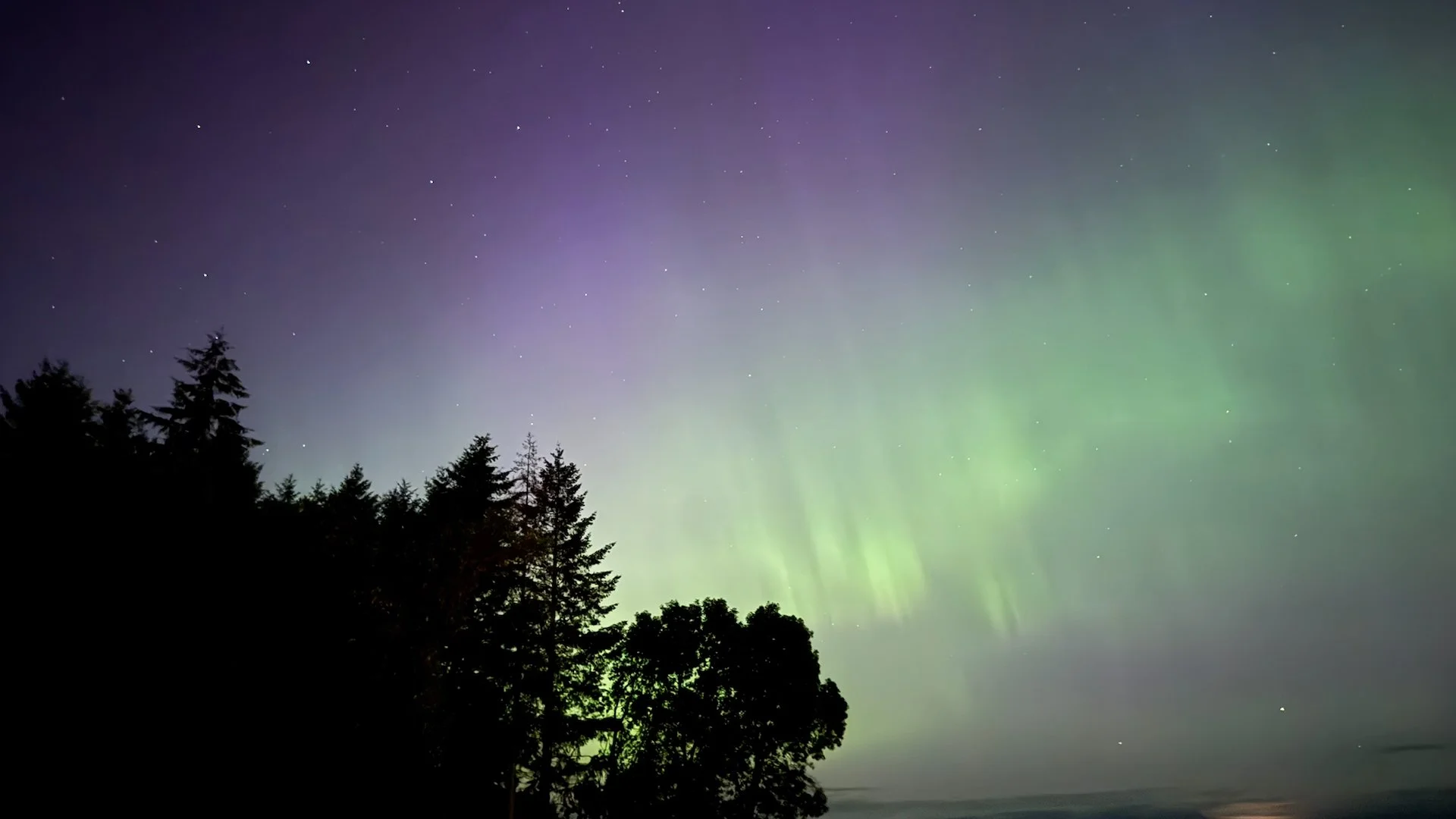  And sure enough, once it got dark, the show was on! 