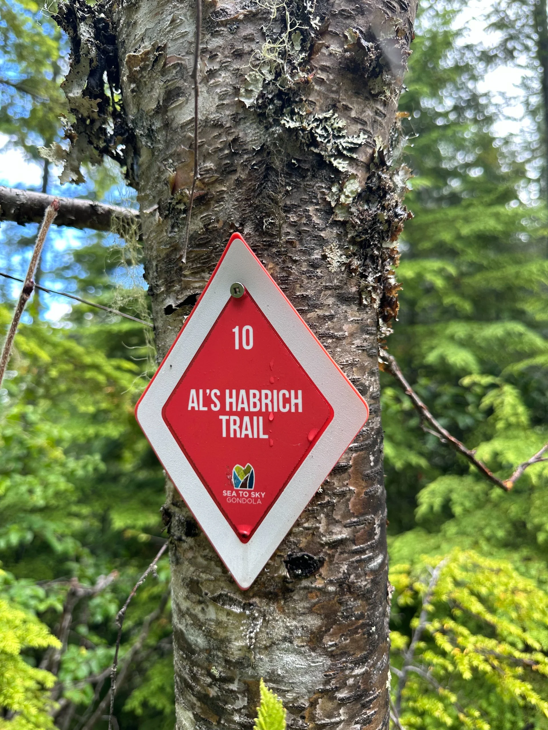  This was our choice of trail. We’ve done the first section of it in the past. It’s marked as the only Black Diamond (expert) trail, which we didn’t really understand. After doing the full circuit, it is now much more clear as to why it’s rated this 