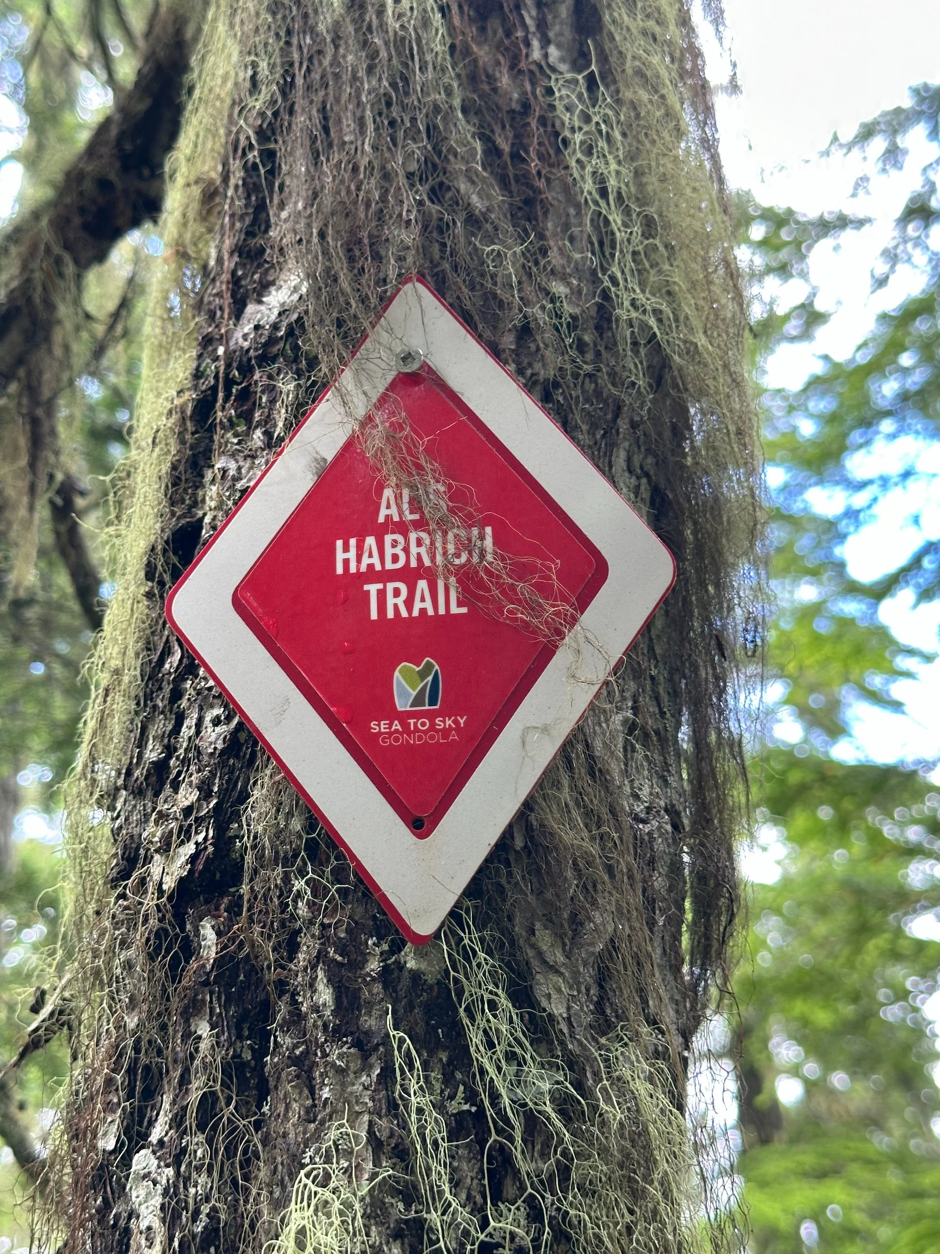  We discovered that this was where the trail earned it’s black diamond status. Up to this point it had not been too bad. 