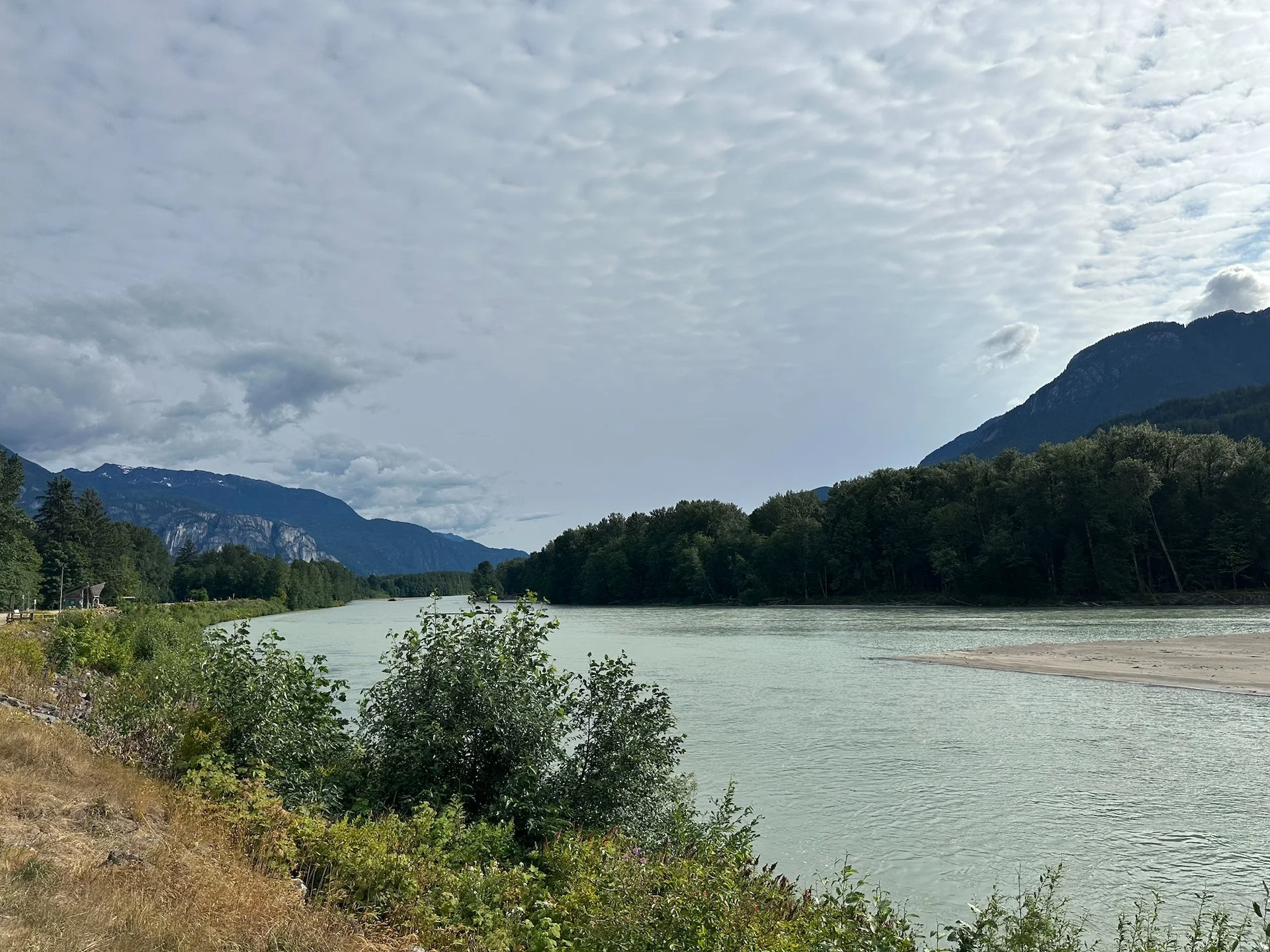  The Squamish River drifts buy on the other side of the road. Sadly, no eagles this time.  