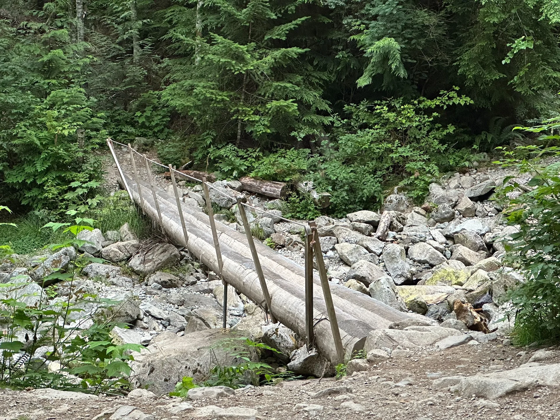  To add some fun, there were 2-3 old log bridges that you had to cross over. Carefully. 
