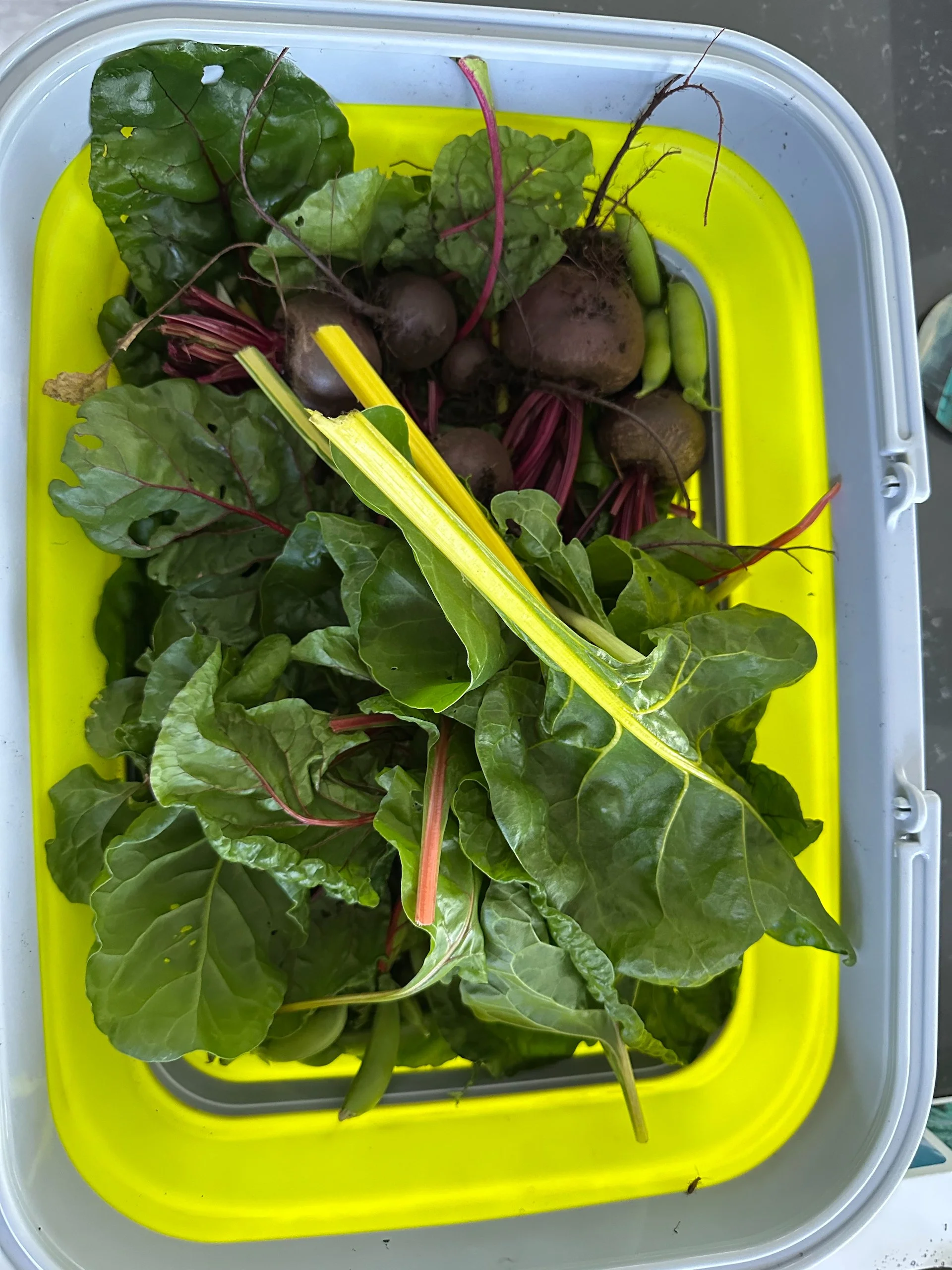  Beets, peas and swiss chard 