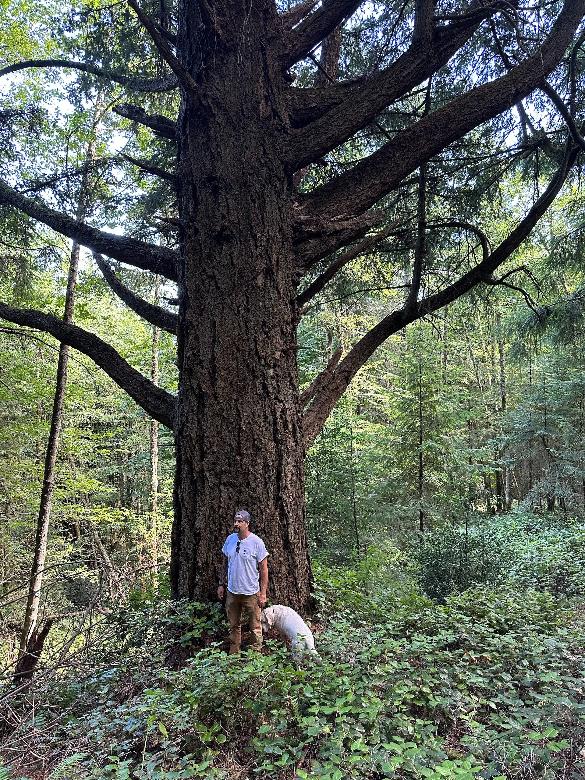  The people in the photos really help with scale. 