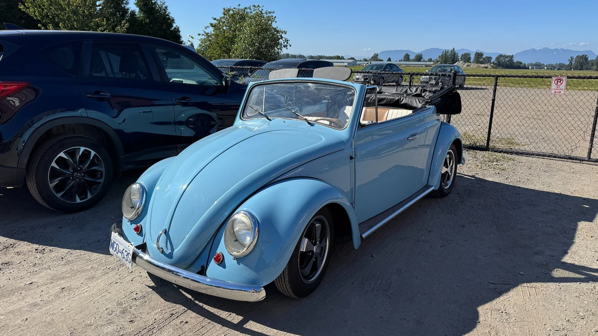  As we were leaving, there were some beautiful old VWs in the parking lot. This is what Justine really wants… 