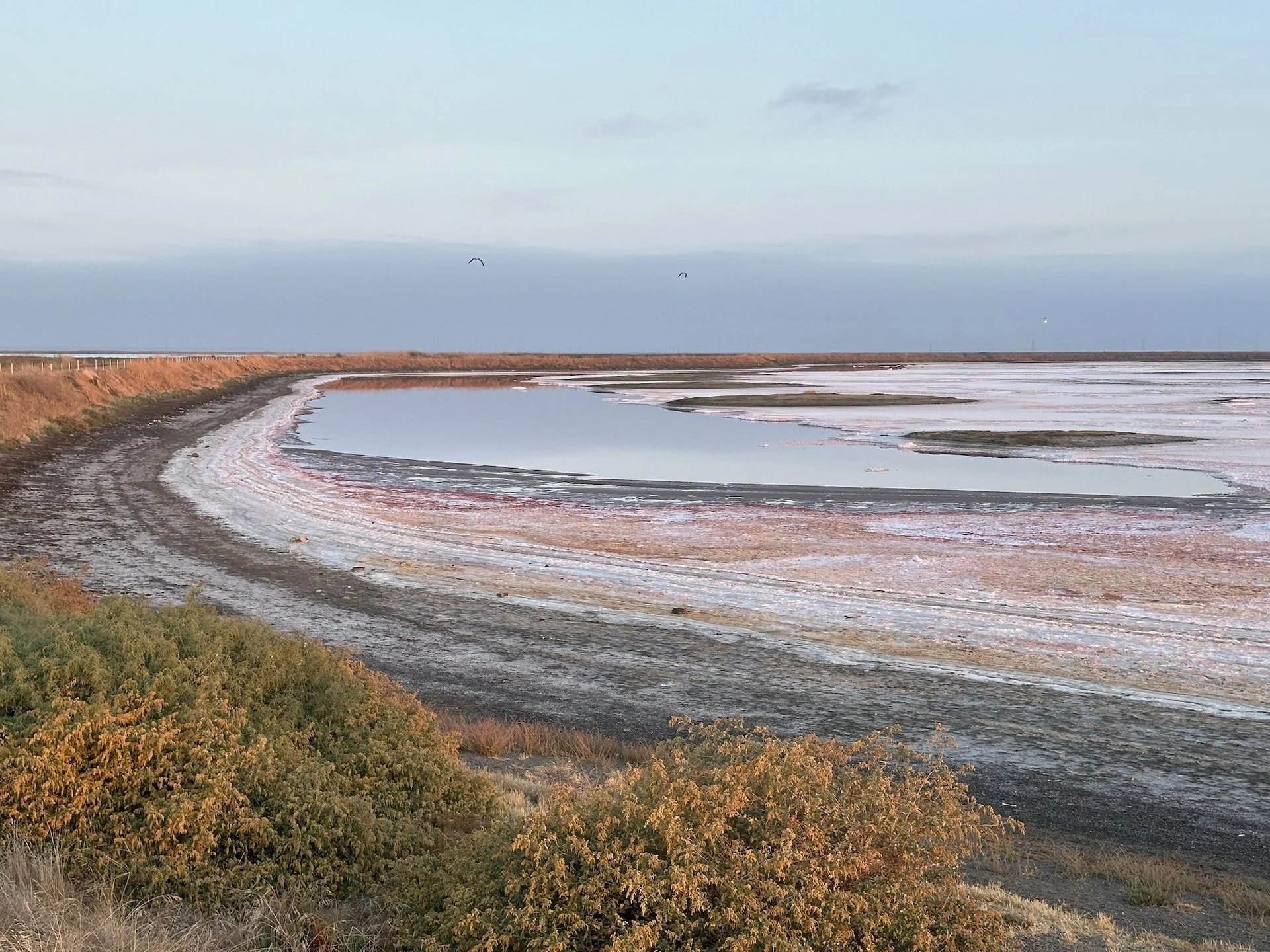  It was a very surreal landscape - the salt pans were otherworldly. 