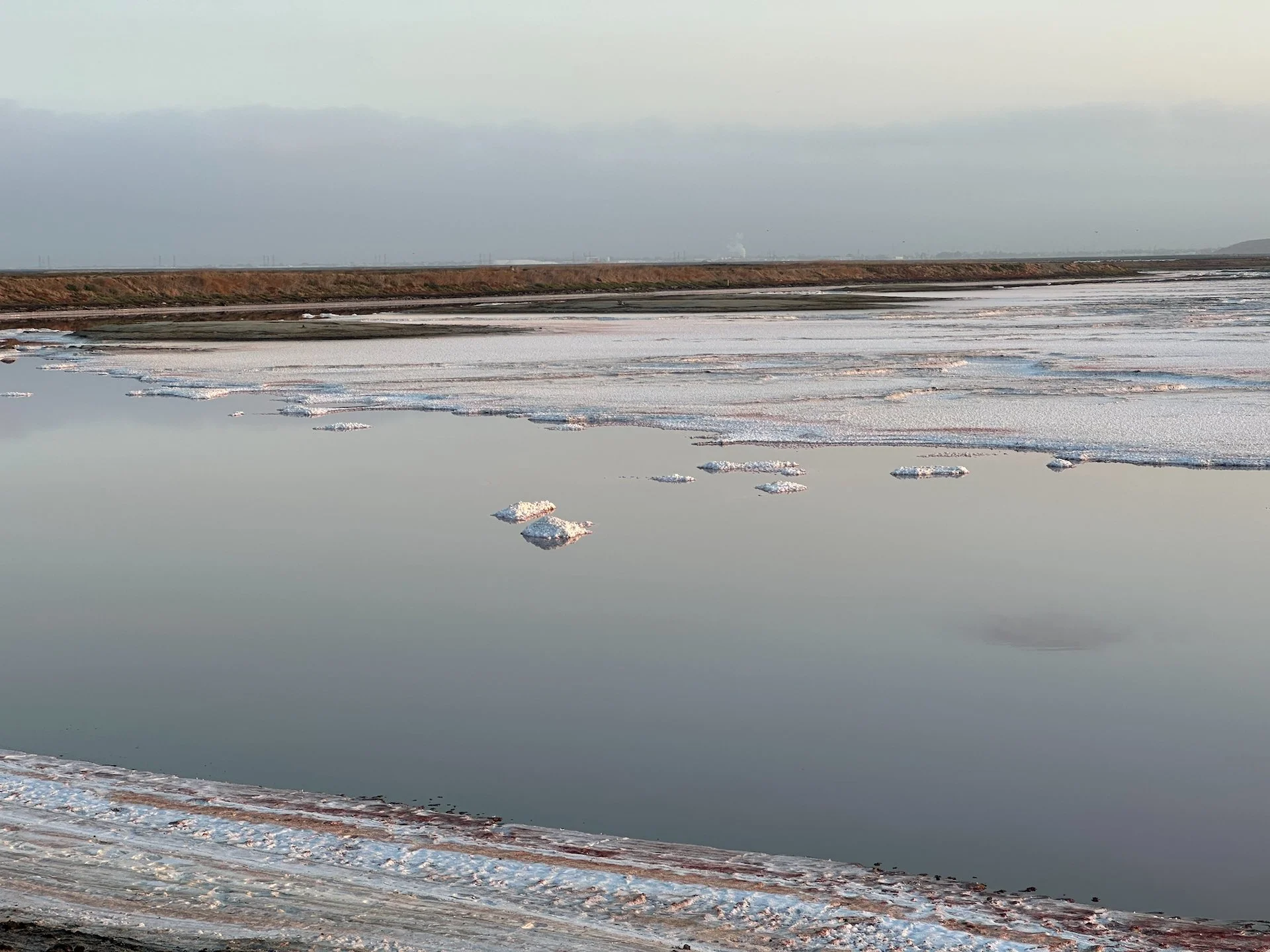 You can see all the salt that appears as the water evaporates.  