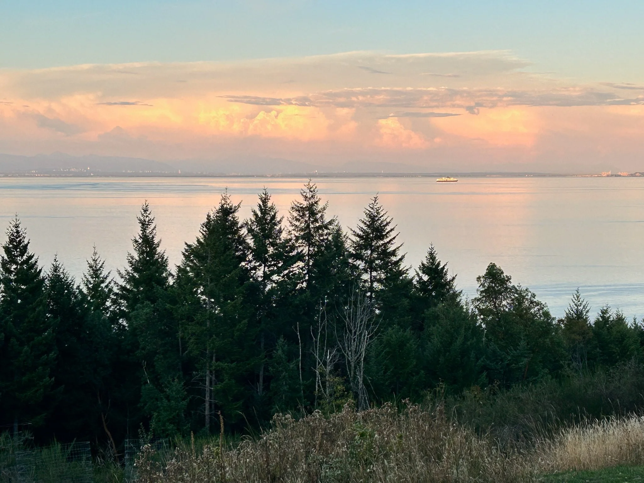  We had some lovely sunsets (and sun rises) over the weekend. 
