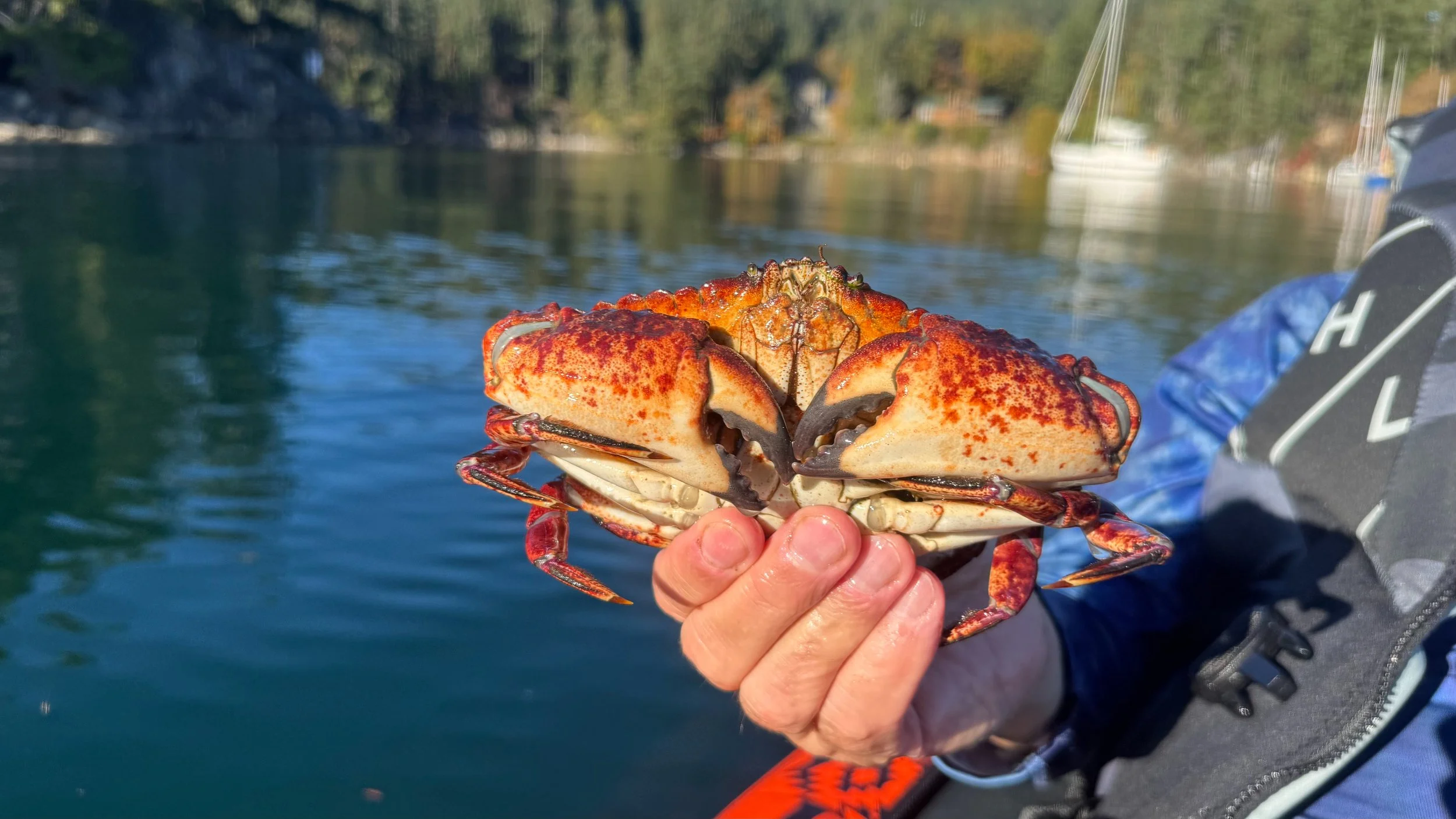  We ended up with two keepers and that gave us a fabulous dinner. 