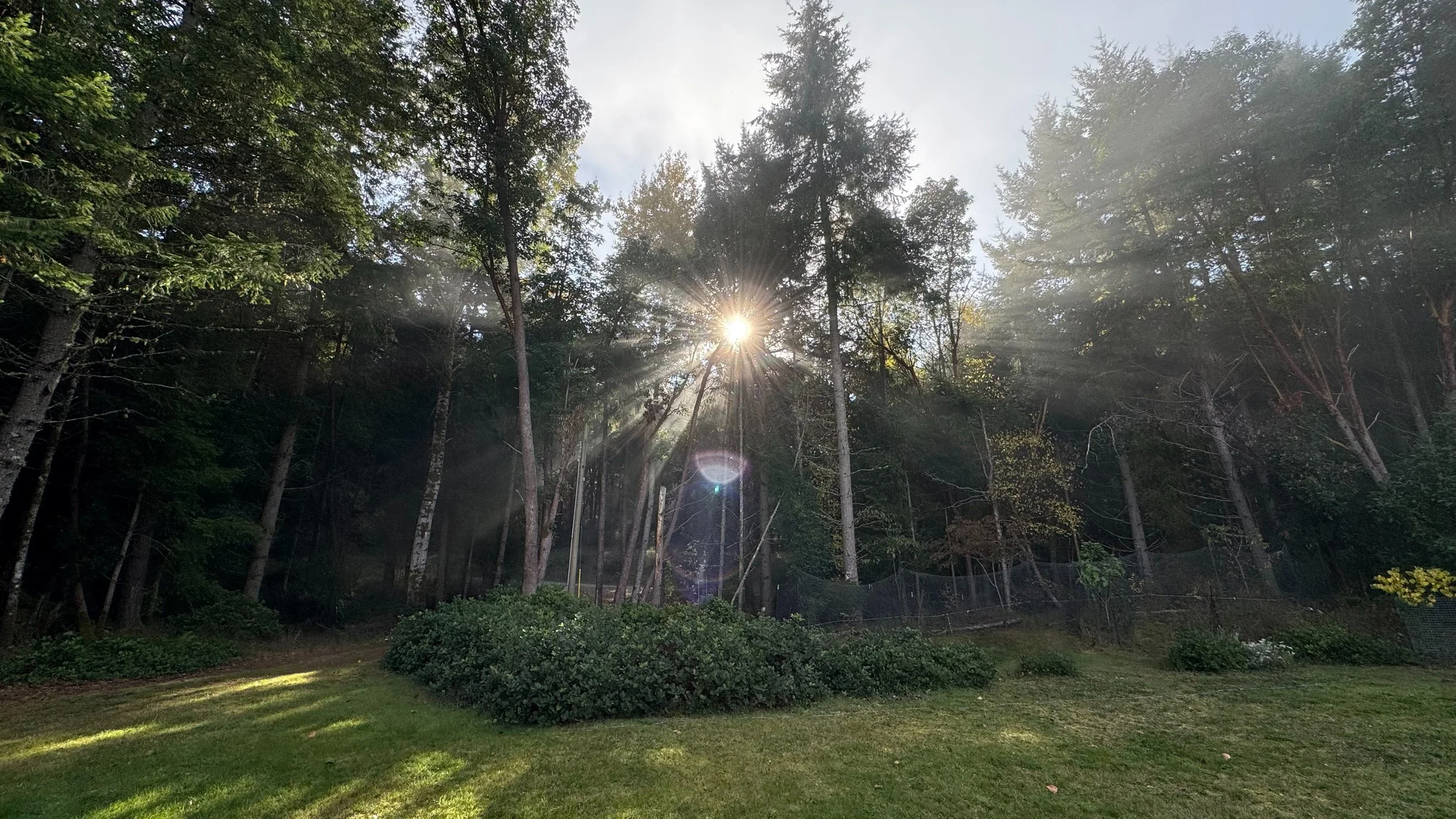2026-10 Galiano, Reifel and Weddings - 33.jpeg