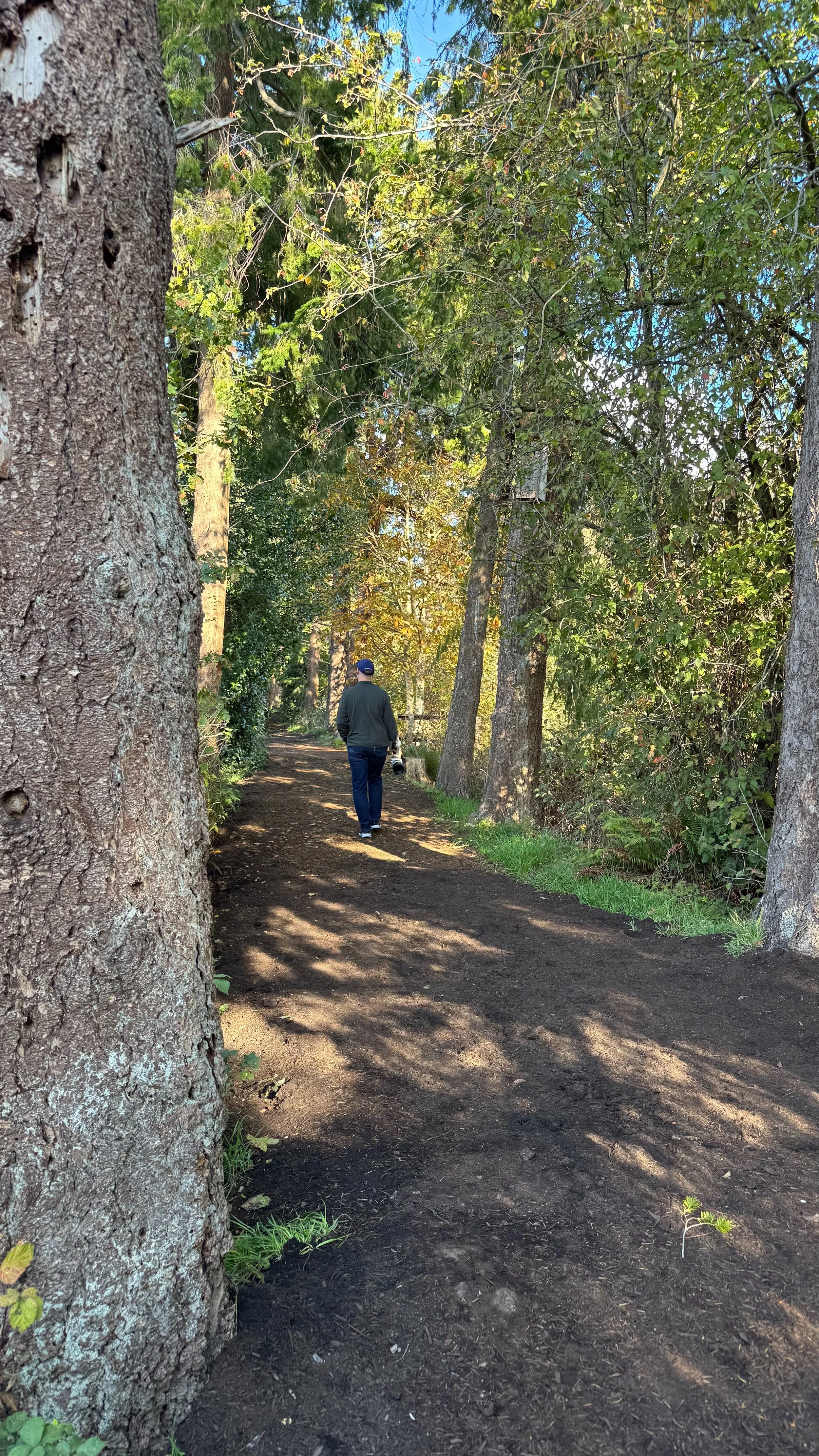  After all the damage done last winter, the sanctuary did a great job rebuilding the trails. 