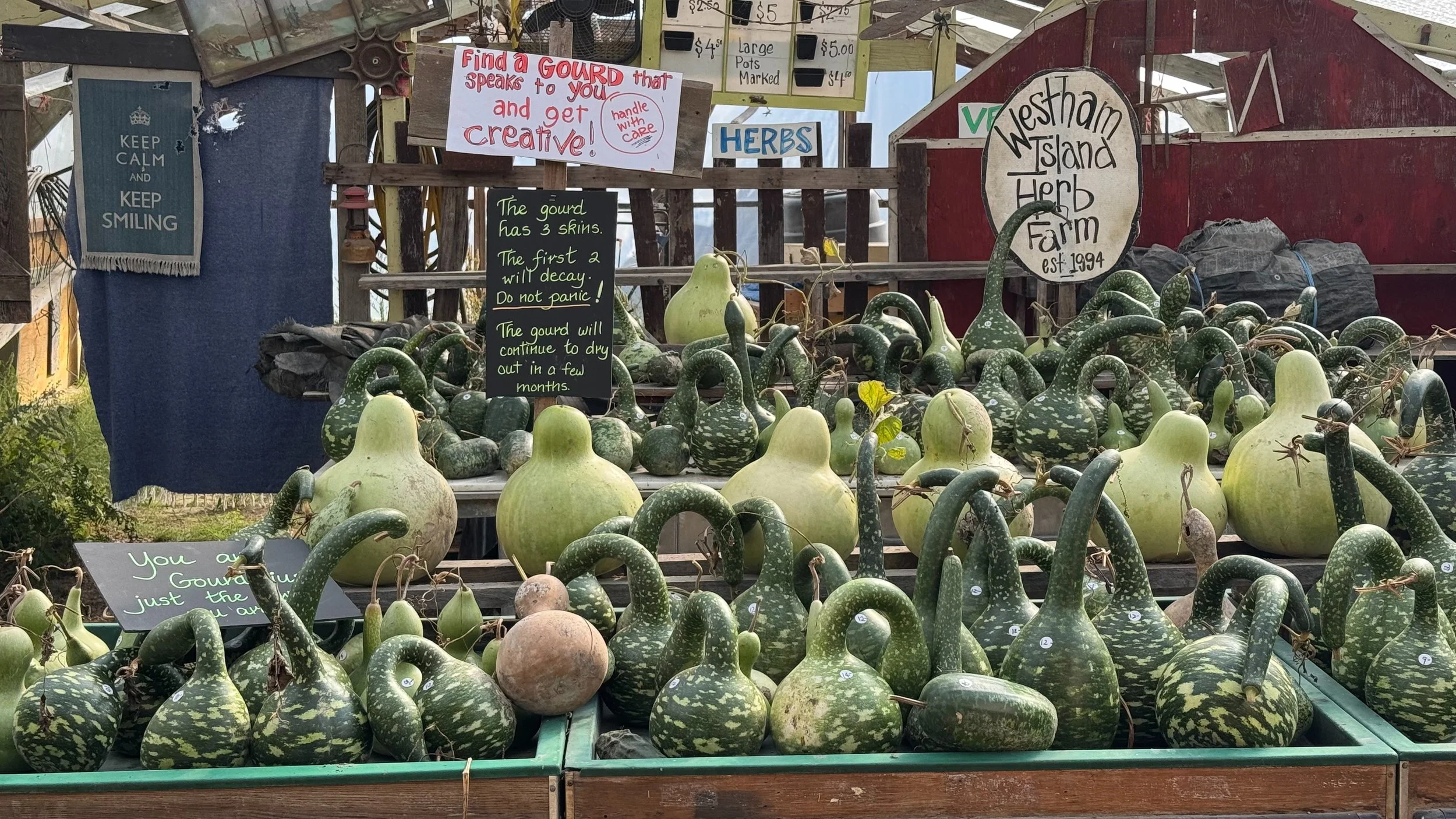  We stopped at the farm market after our visit and picked up a few late season fruit and veggies. 