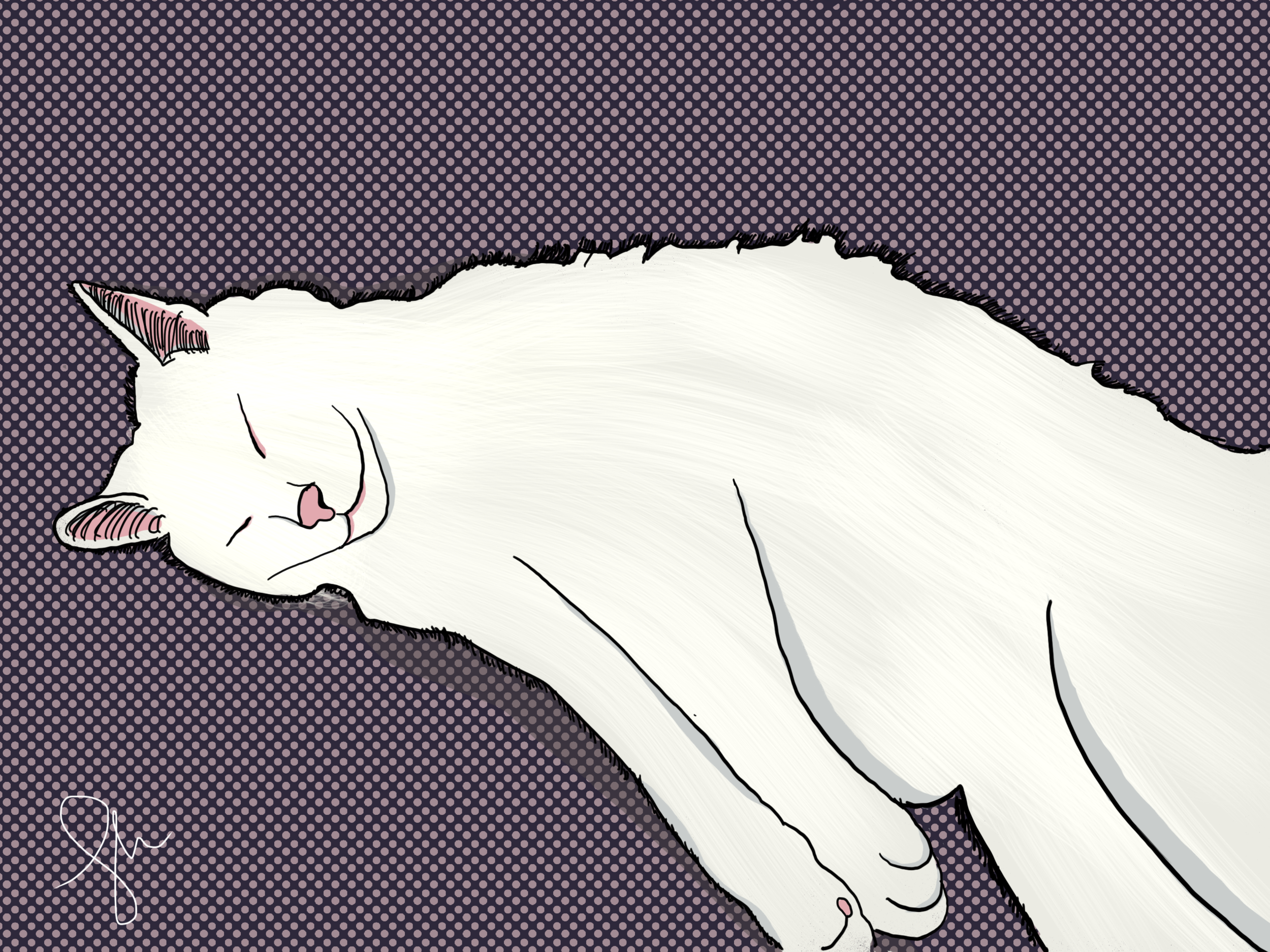"Companion"