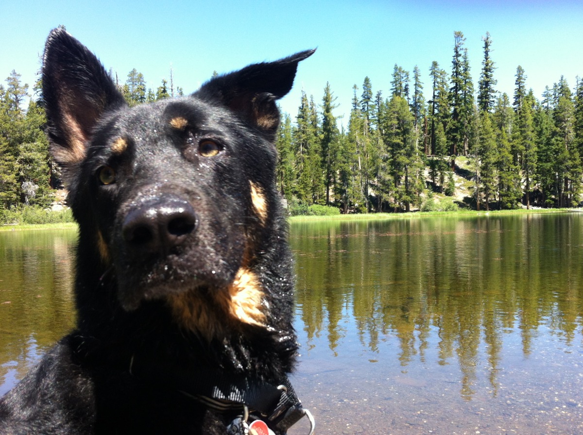 Watson Lake