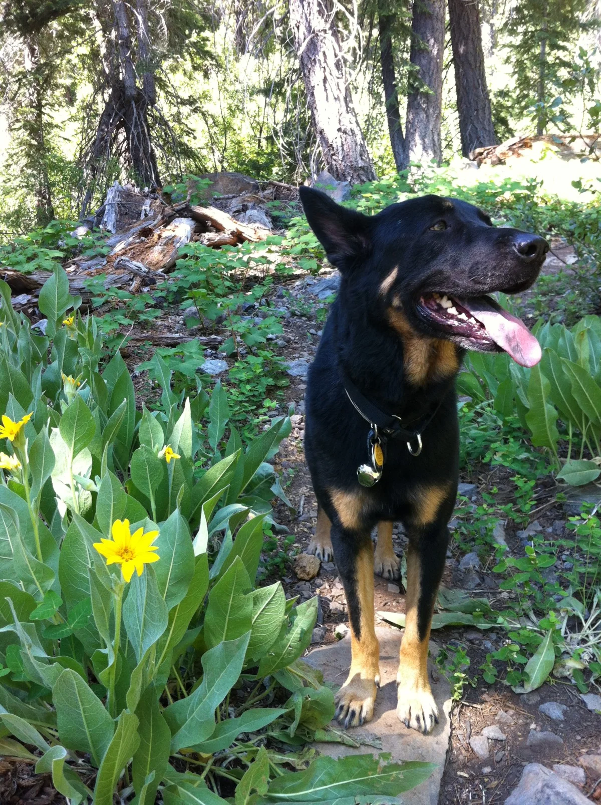 Hike to Watson Lake