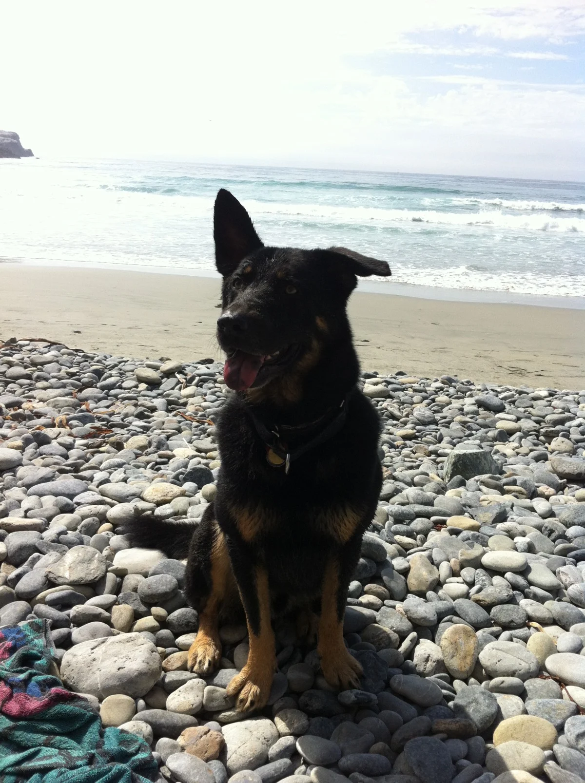 After a Long Game of Fetch at Sand Dollar Beach (Big Sur)