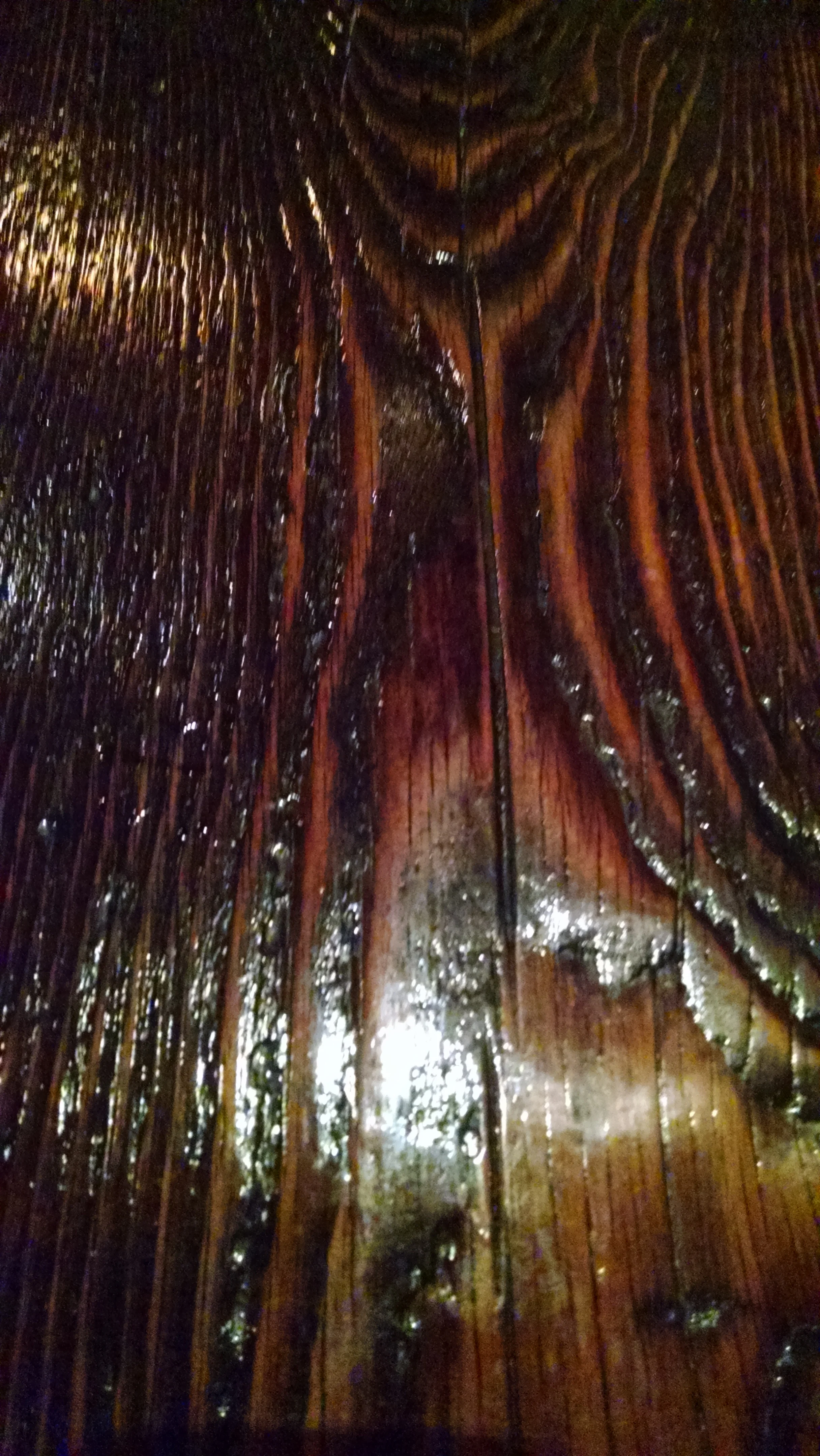 Table of varnished wood. That's all I can remember about this one.