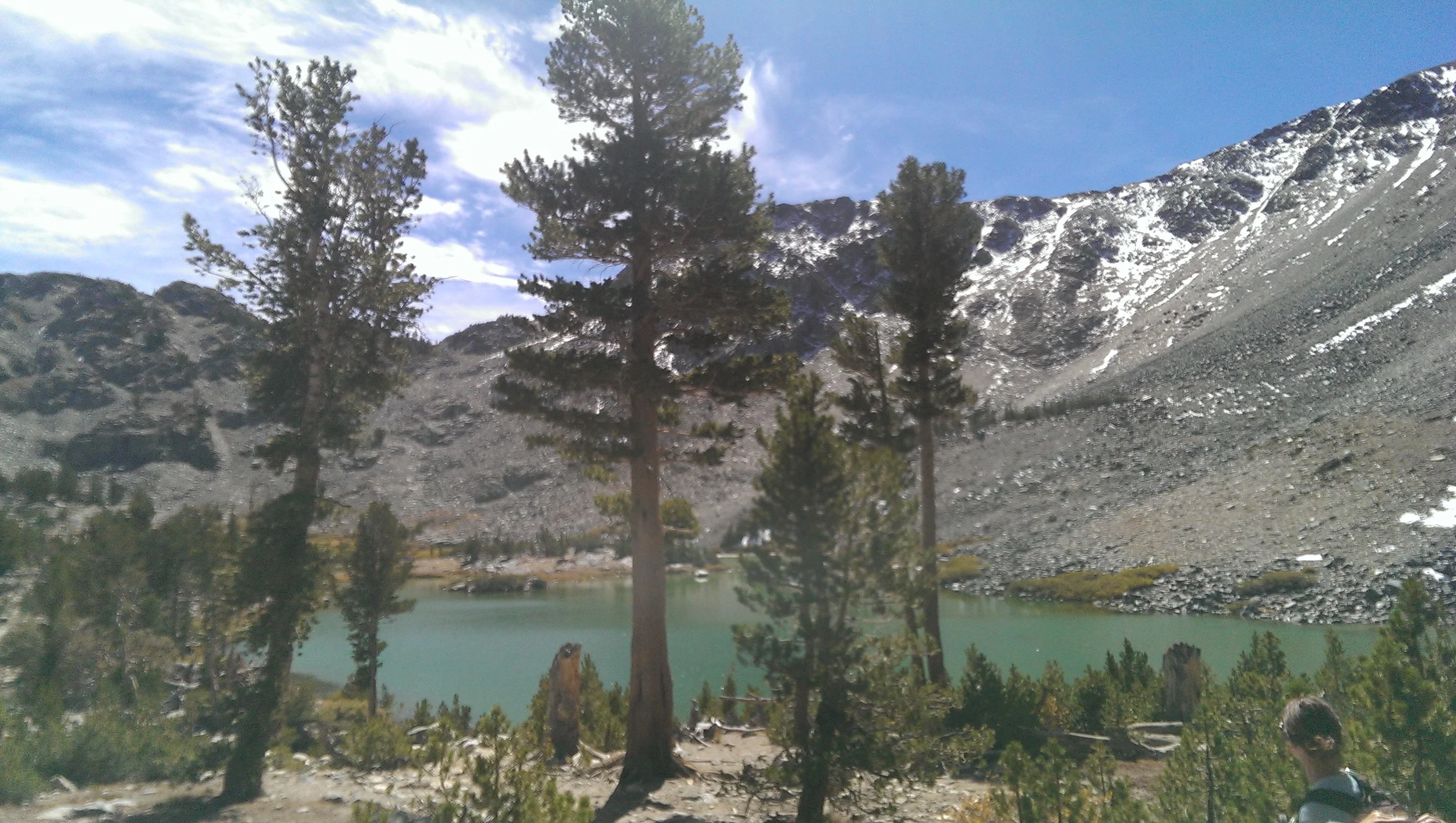 IMG_20130928_122033.jpg