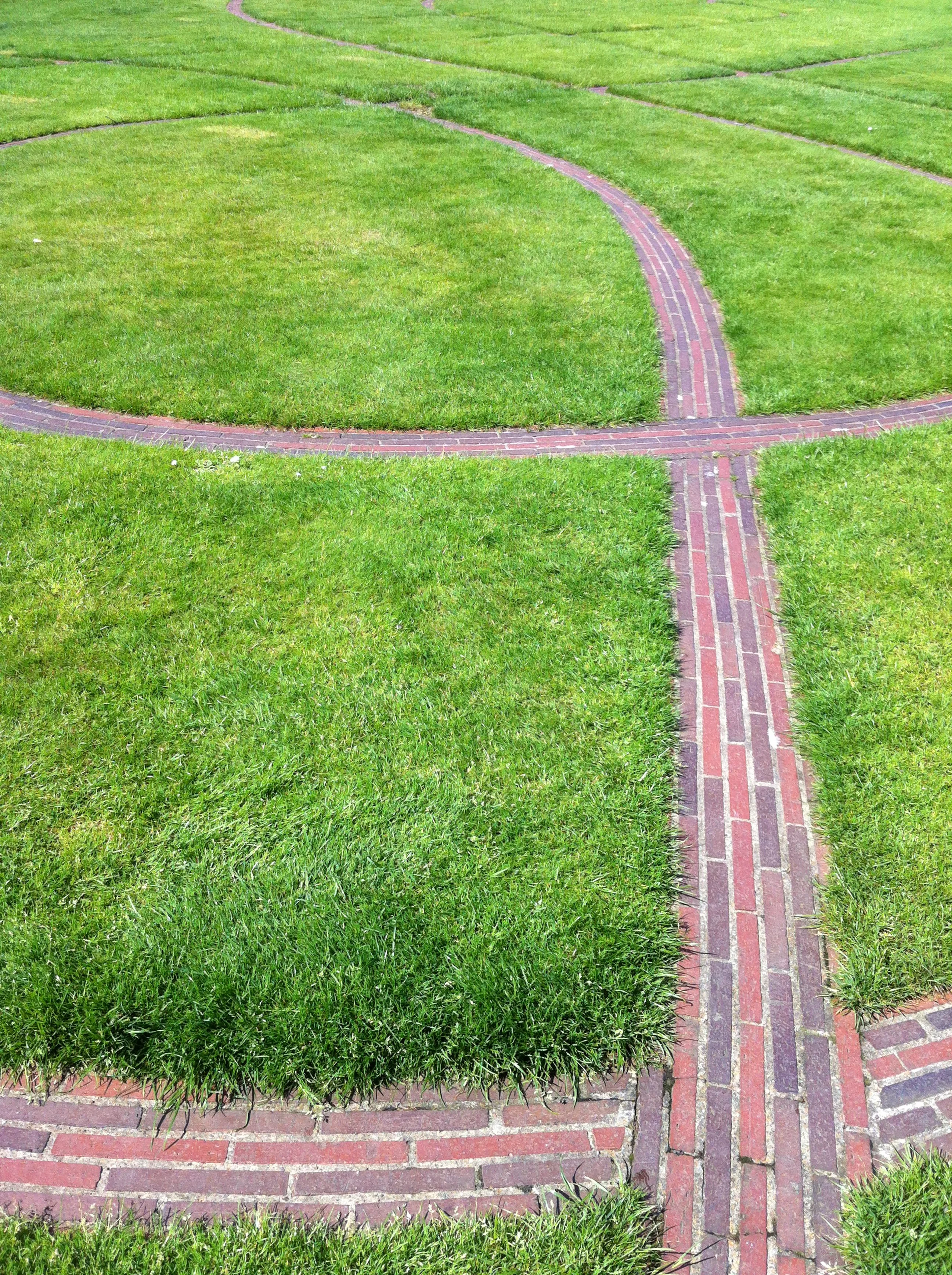 Gardens at Dublin Castle, Ireland