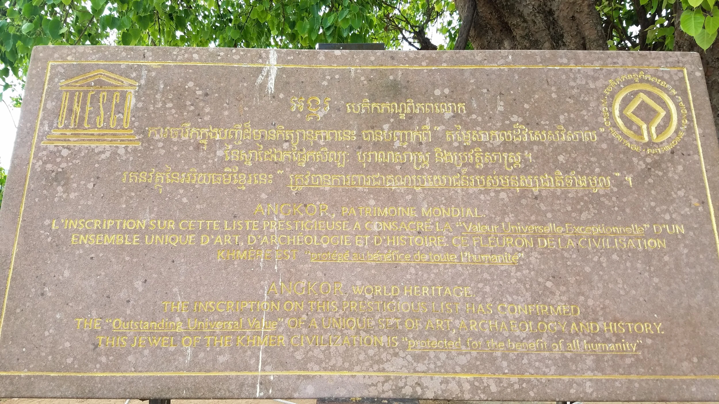20170329_084815.jpg