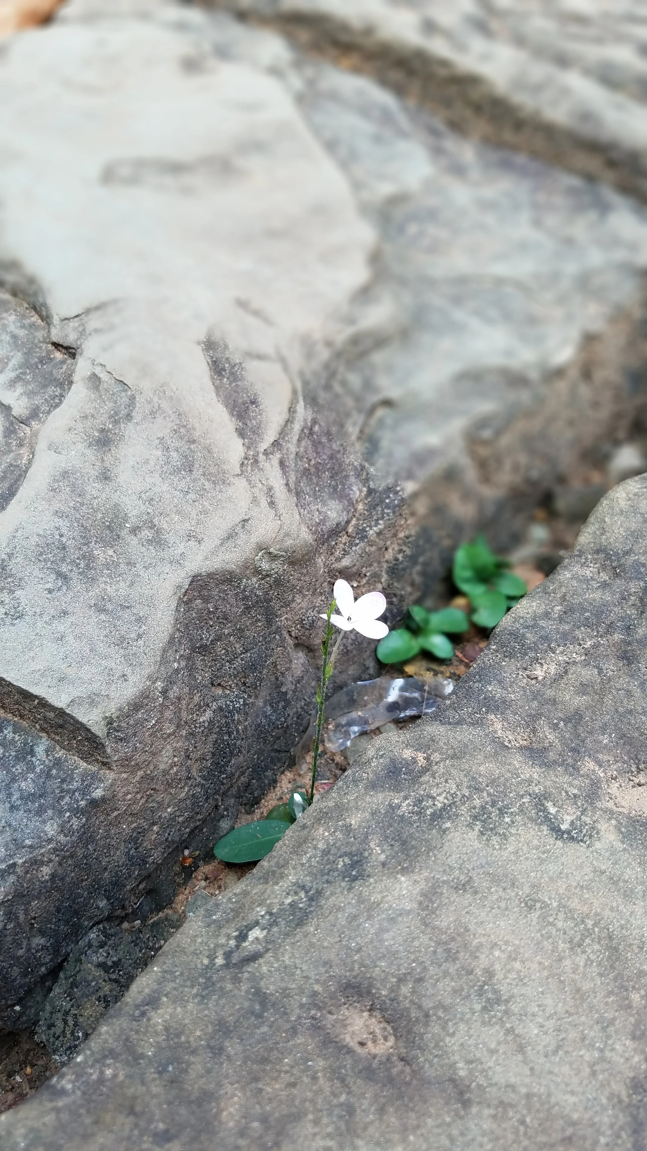 20170330_093003.jpg