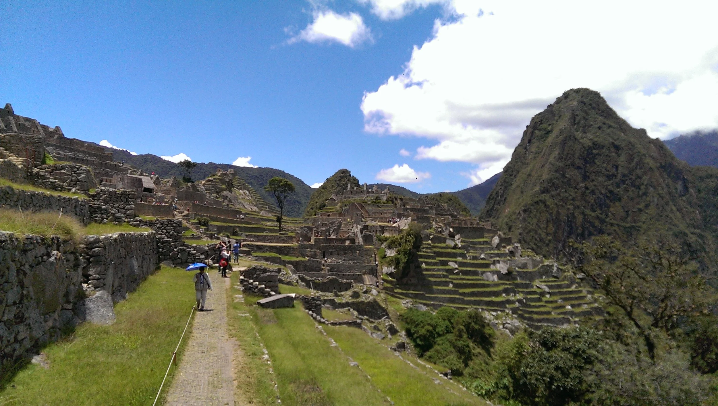 IMG_20141130_120438.jpg