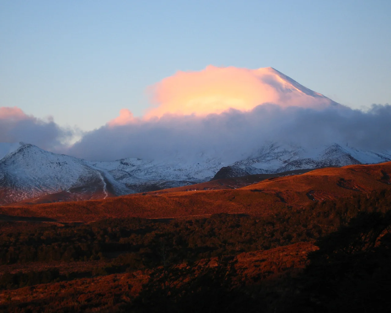 Background-NZNgarahoe.jpg