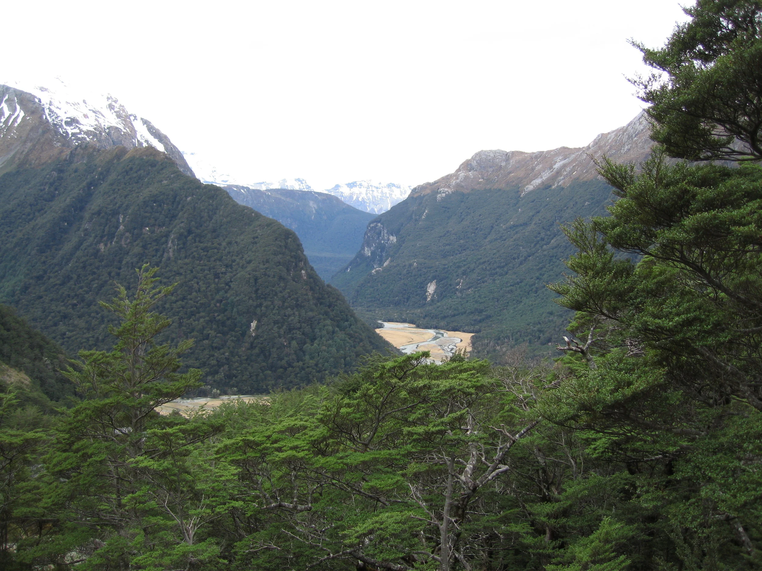 2005-09-14 Routeburn Track (41).JPG