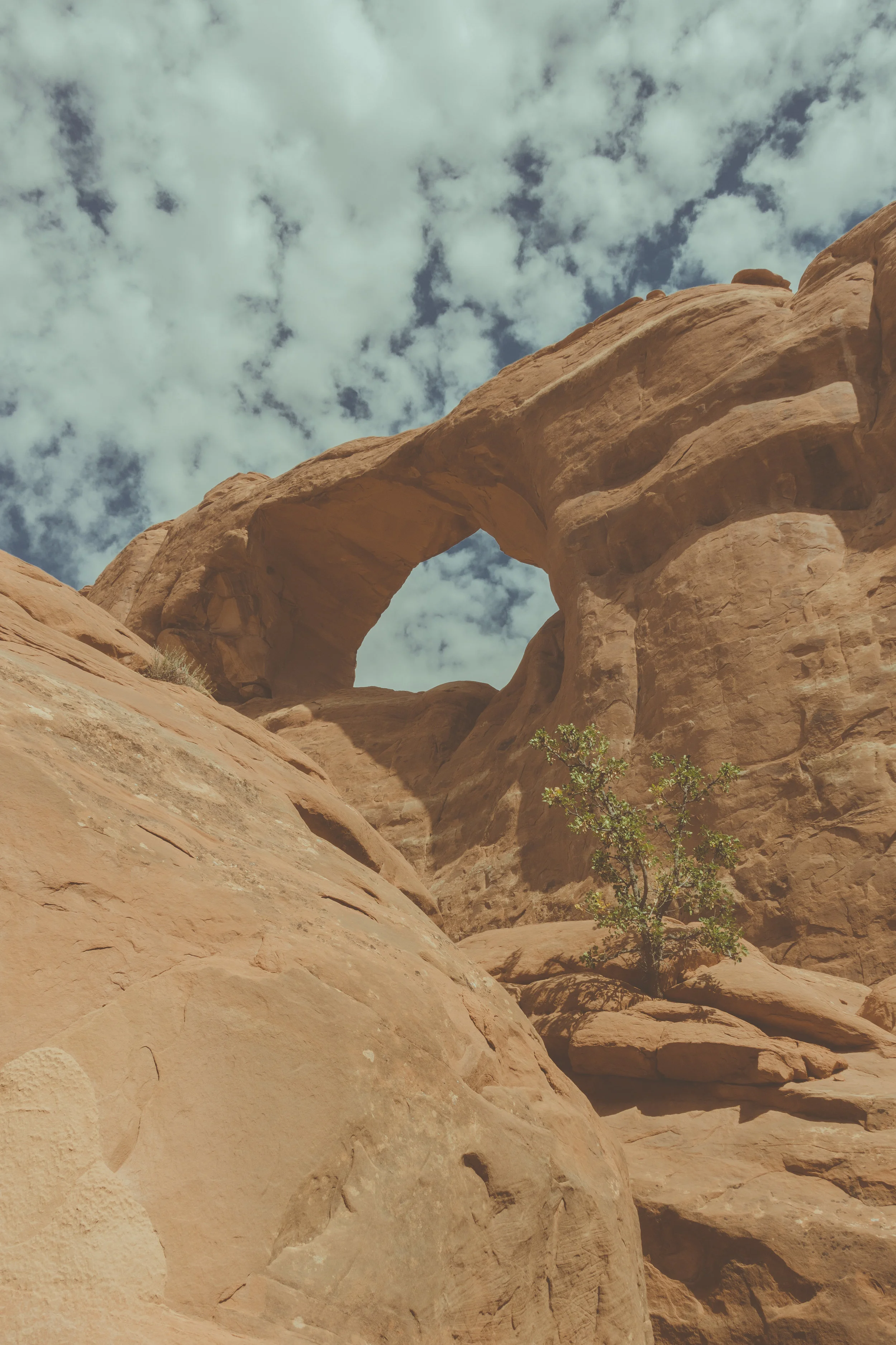 arch-080716-11.38.09.jpg