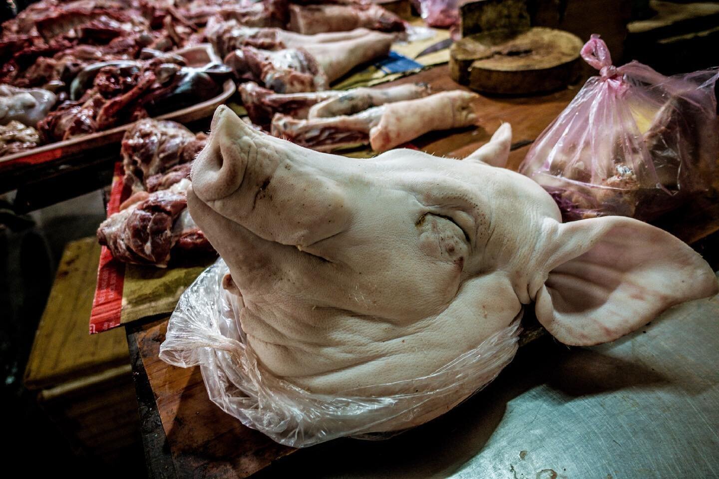 Shut your trap in the market or some Return to Oz shiz will happen.🤫💤 
.
.
.
Hoi An, Vietnam 🇻🇳 2016
.
.
#vietnam #hoianvietnam #pigsofinstagram #wetmarket #porksoda #tourvietnam #travelawesome #sony #sonyrx100 #sonyrx100m3 #narcolepsy #smile #po