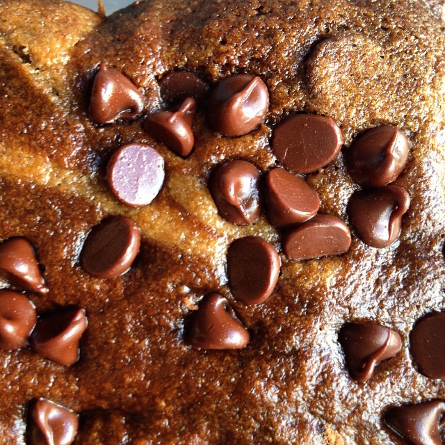 Whole wheat chocolate chip cinnamon banana bread