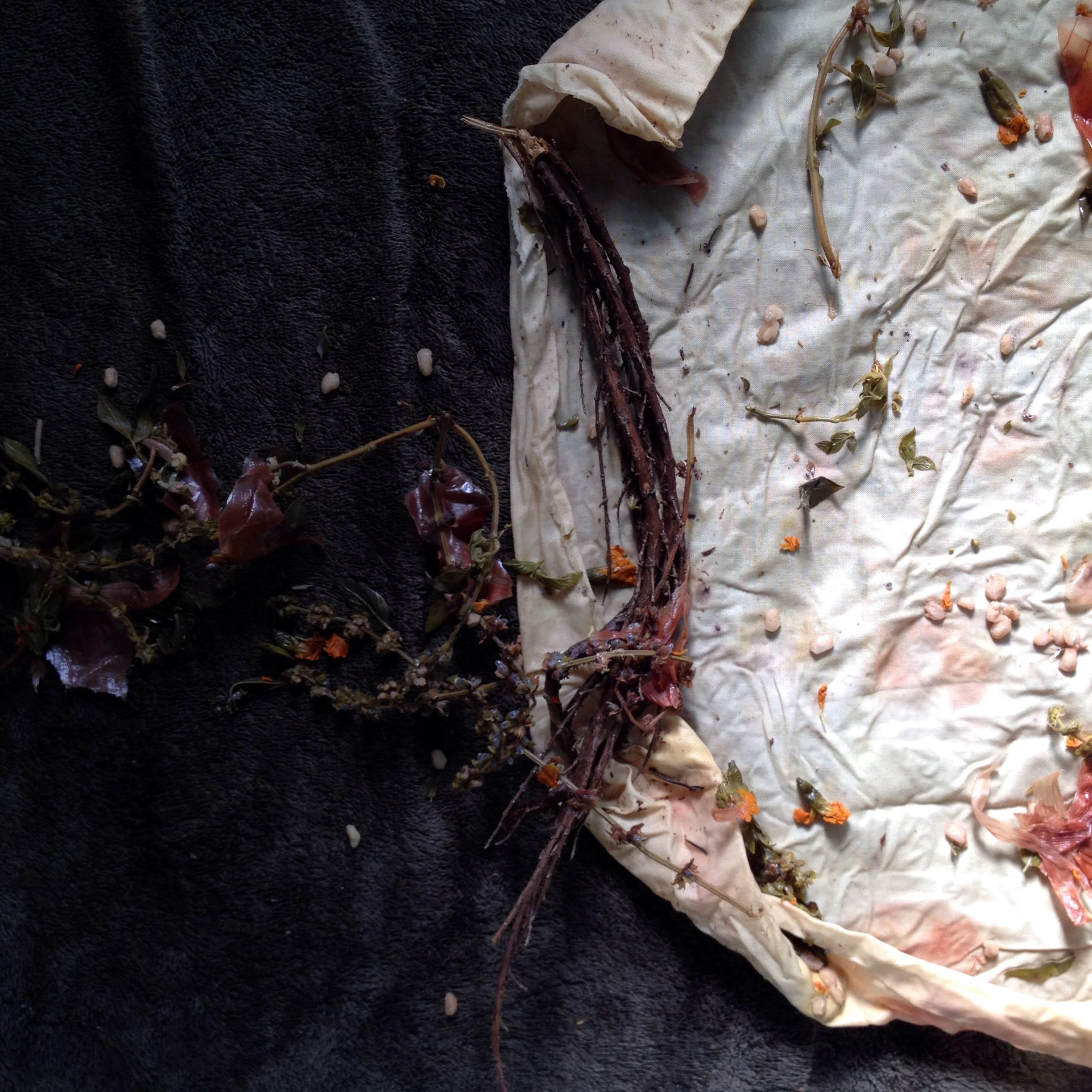 Cotton muslin with purple basil, yellow onion skins, marigold flowers, pomegranate rinds and pomegranate arils (seeds).