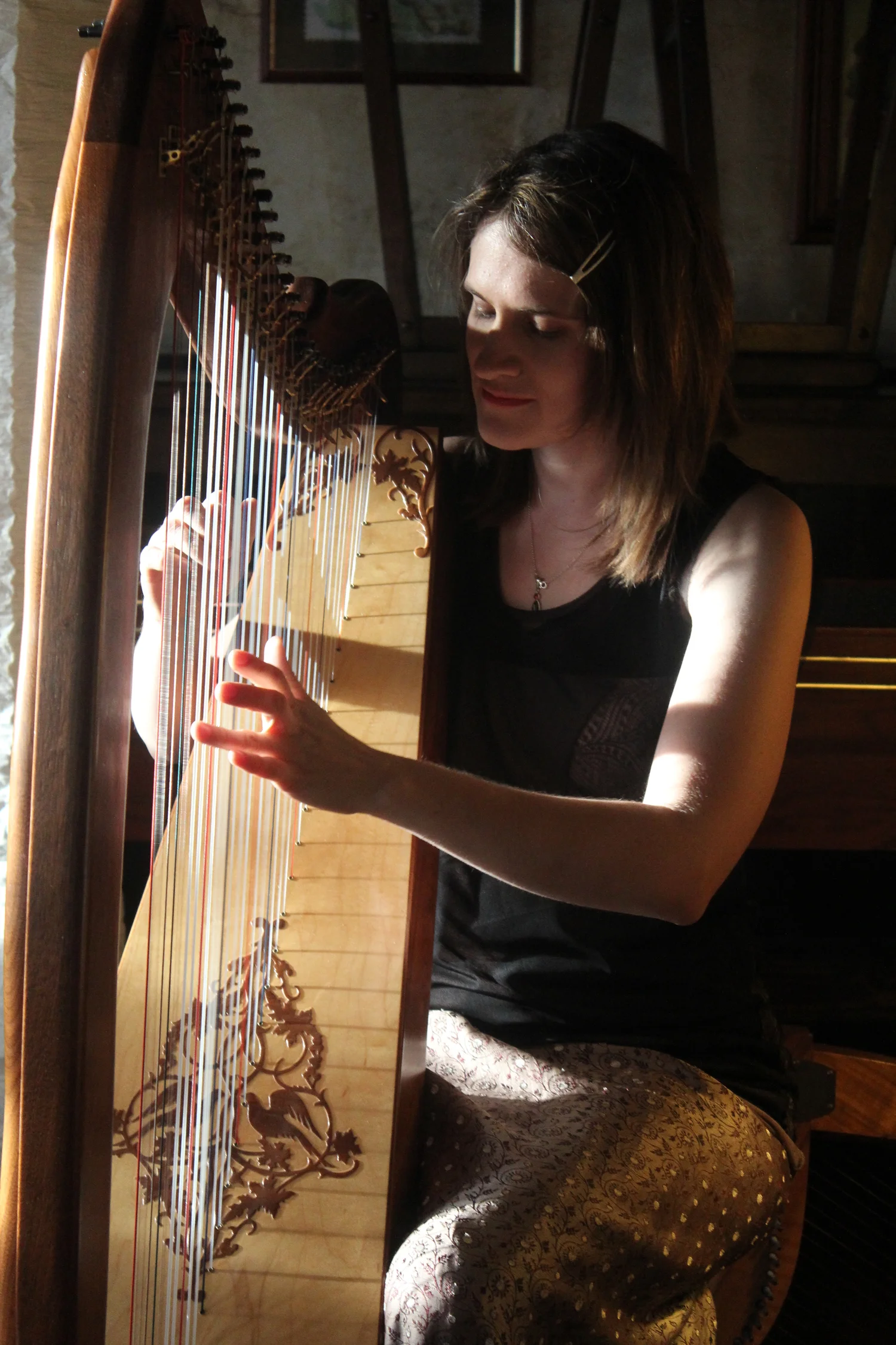 Concert for The Bright Green Bough, as the sun was setting